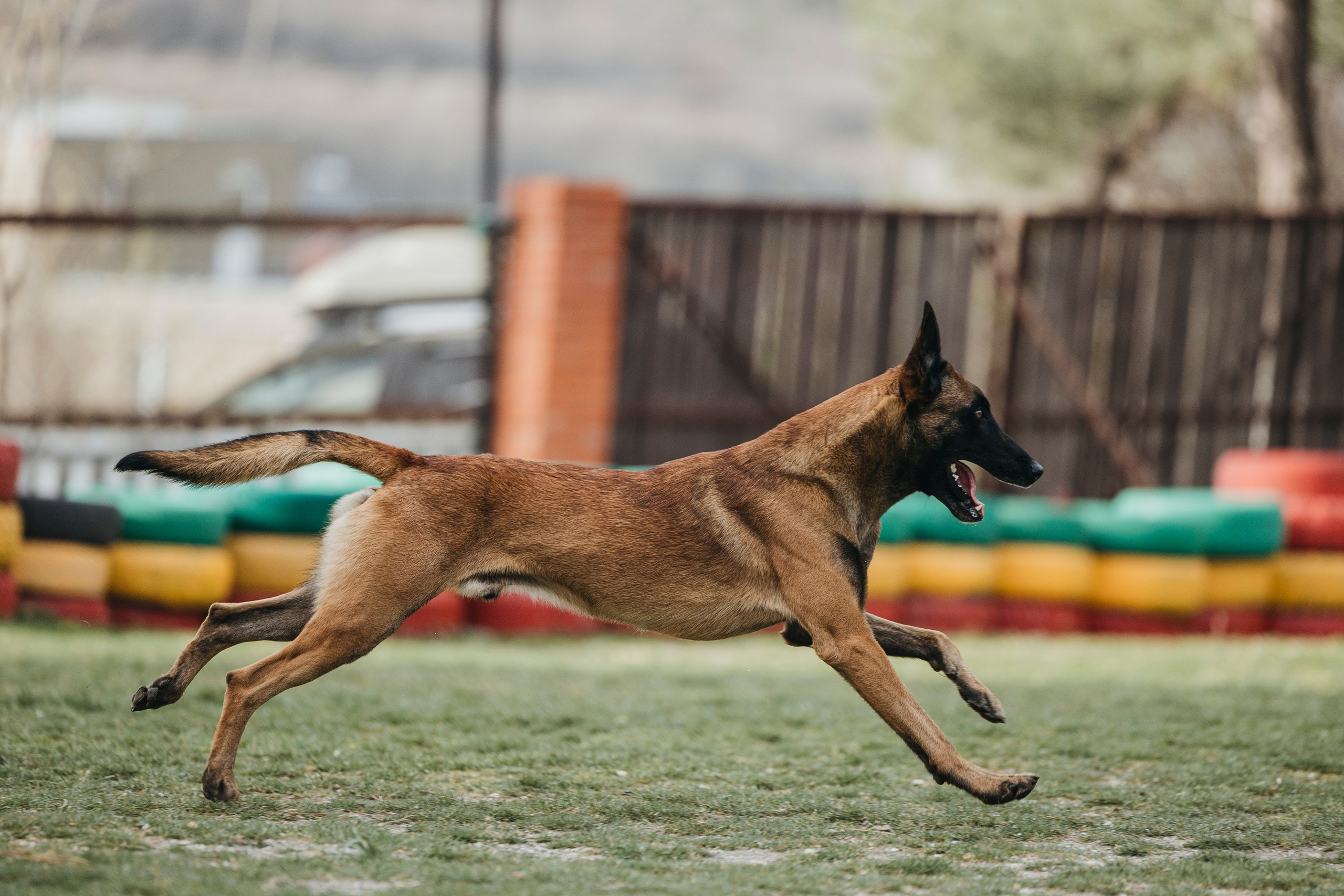 Геленджик Мондьоринг. Фотограф-анималист Анна Маринич