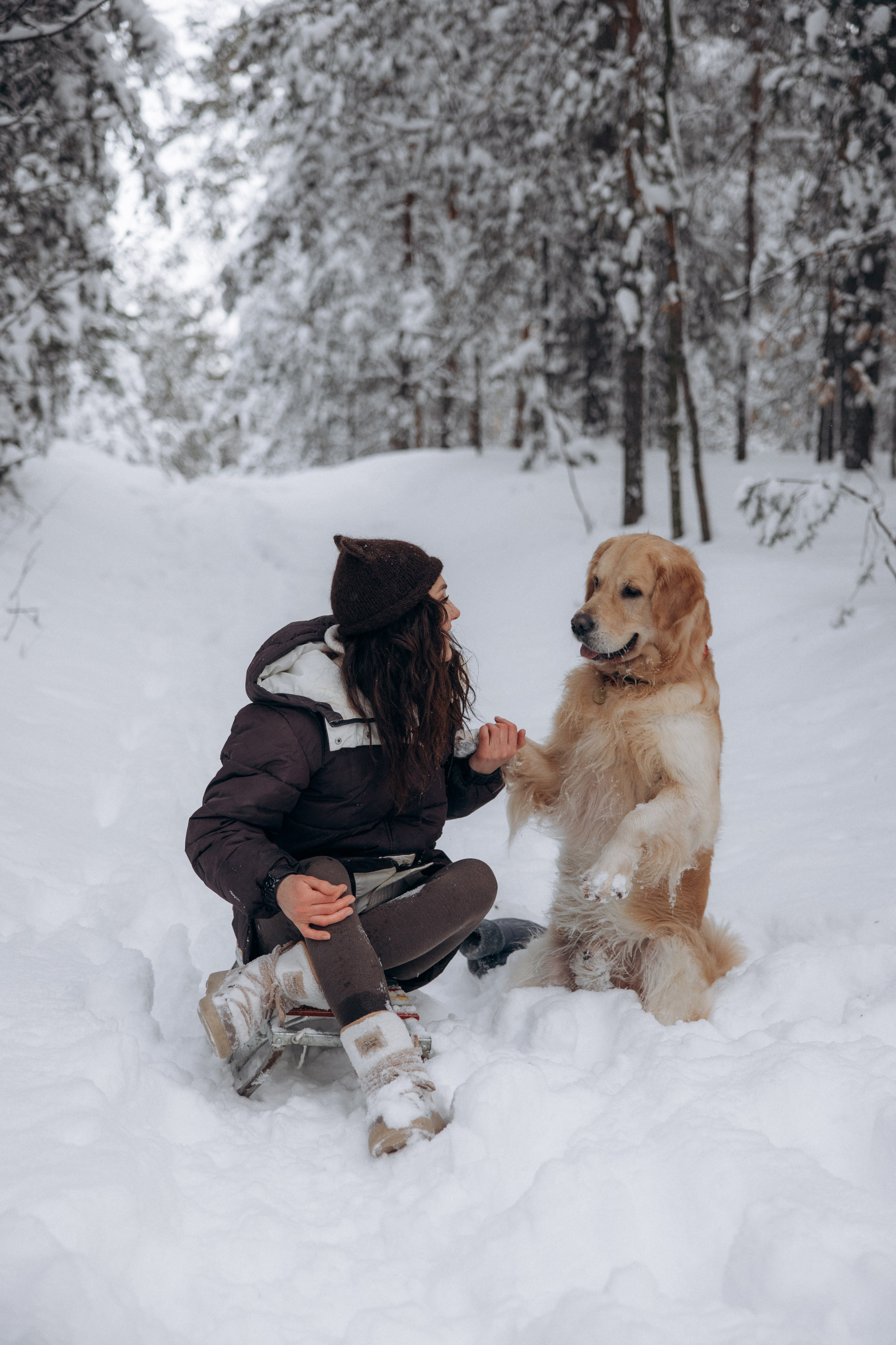 Зимняя история, Света и Чарли. Фотограф анималист в Казани Алина Сулейманова. Фотограф животных