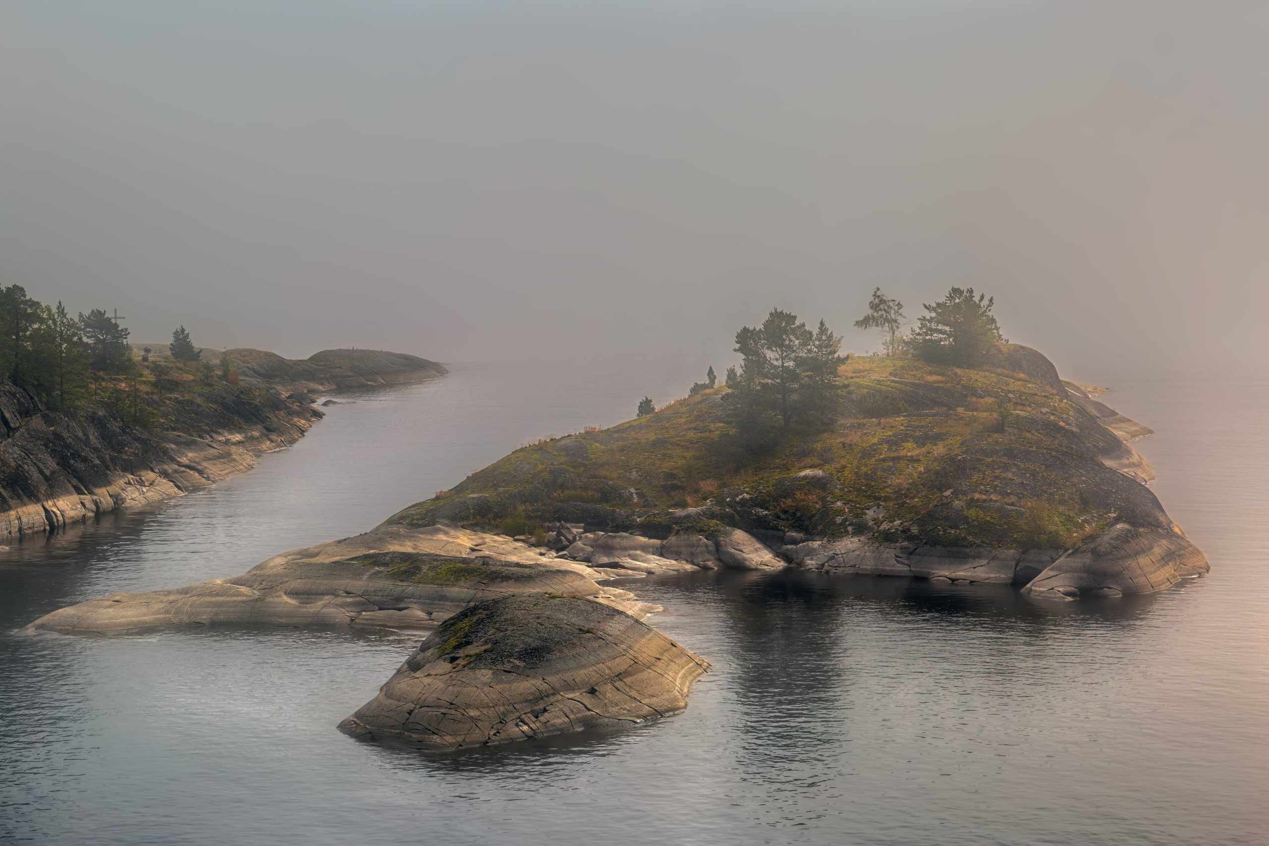 Пейзажный фотограф и фотограф-анималист