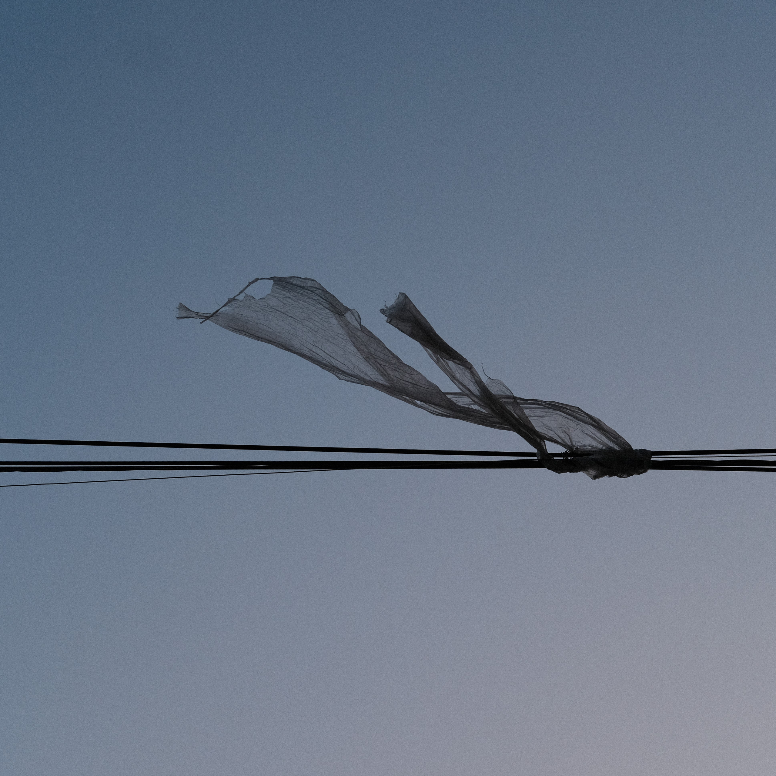 Наблюдения. Семейный фотограф в Новосибирске Артём Кузнецов