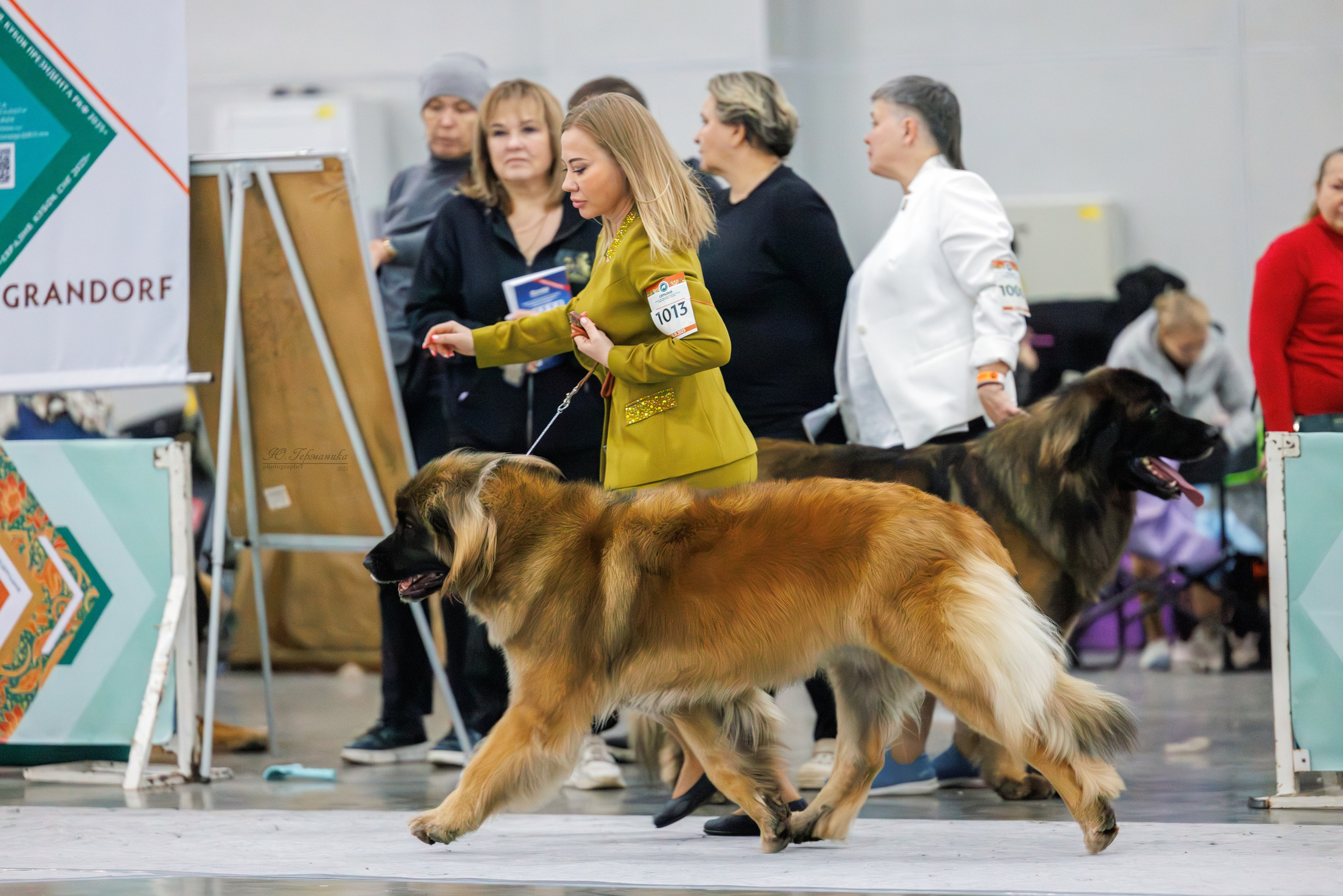 Евразия 15-16.11.2025. Фотограф-анималист Юлия Германика