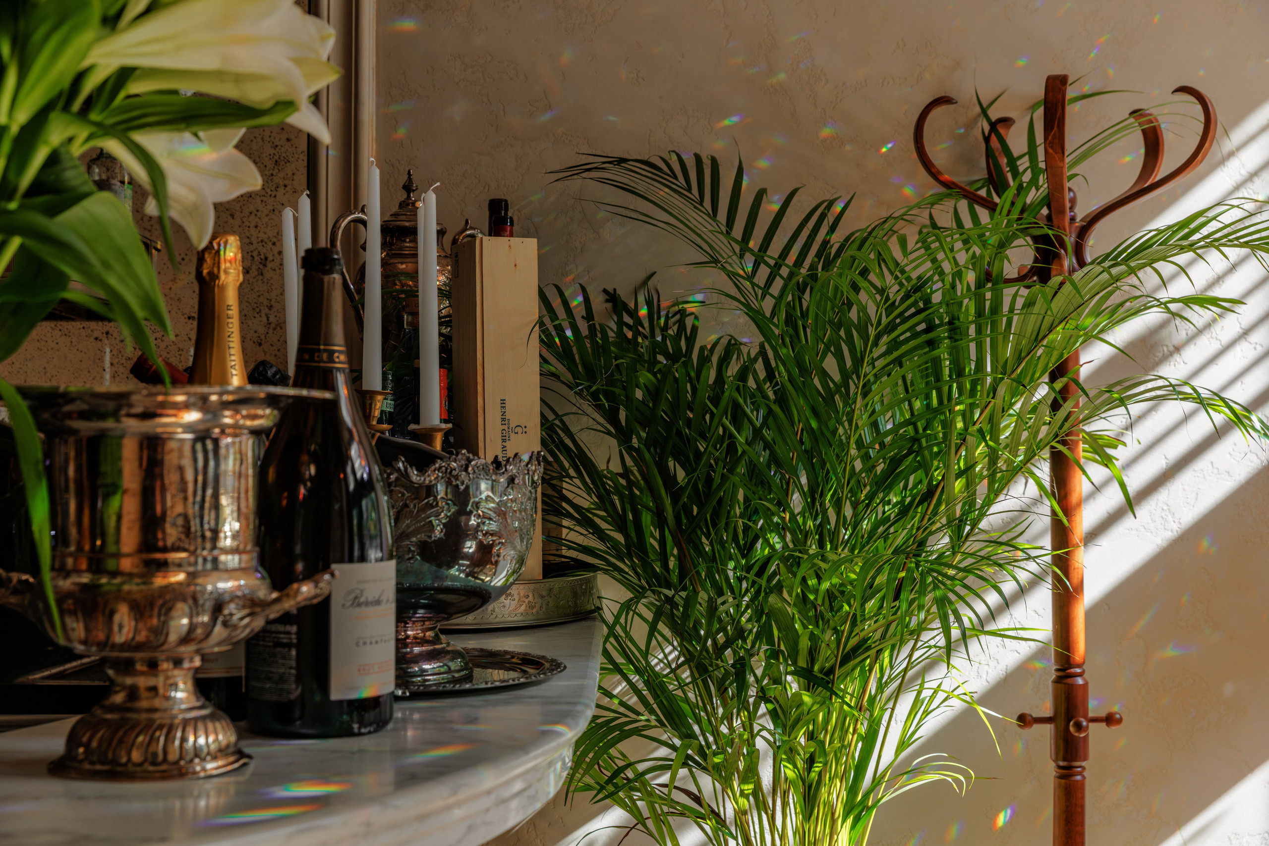 Медведь. Репортажный фотограф в Санкт-Петербурге Жолудев Владислав