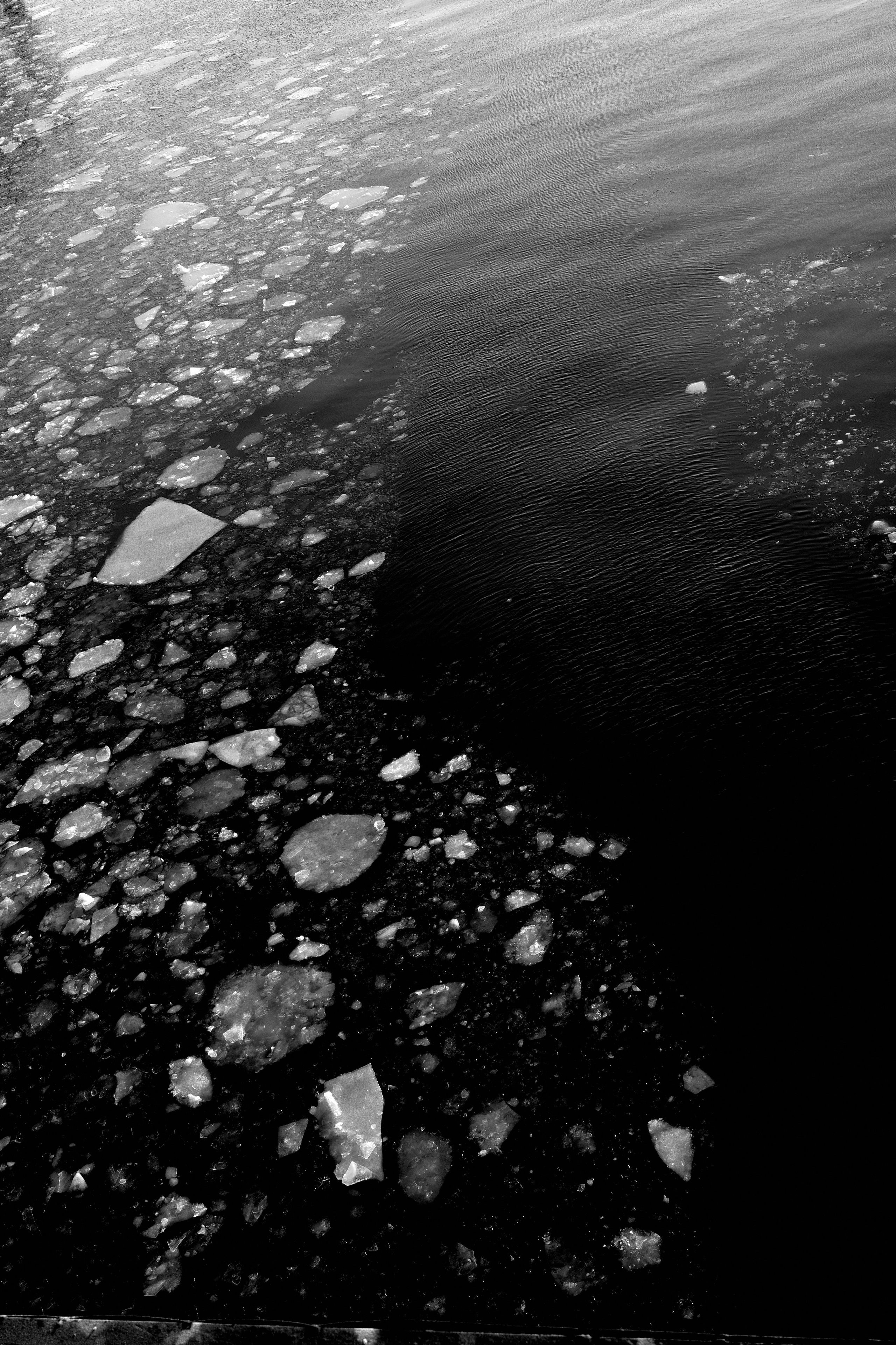 Черно-белое. Миша Печёнкин | фотография