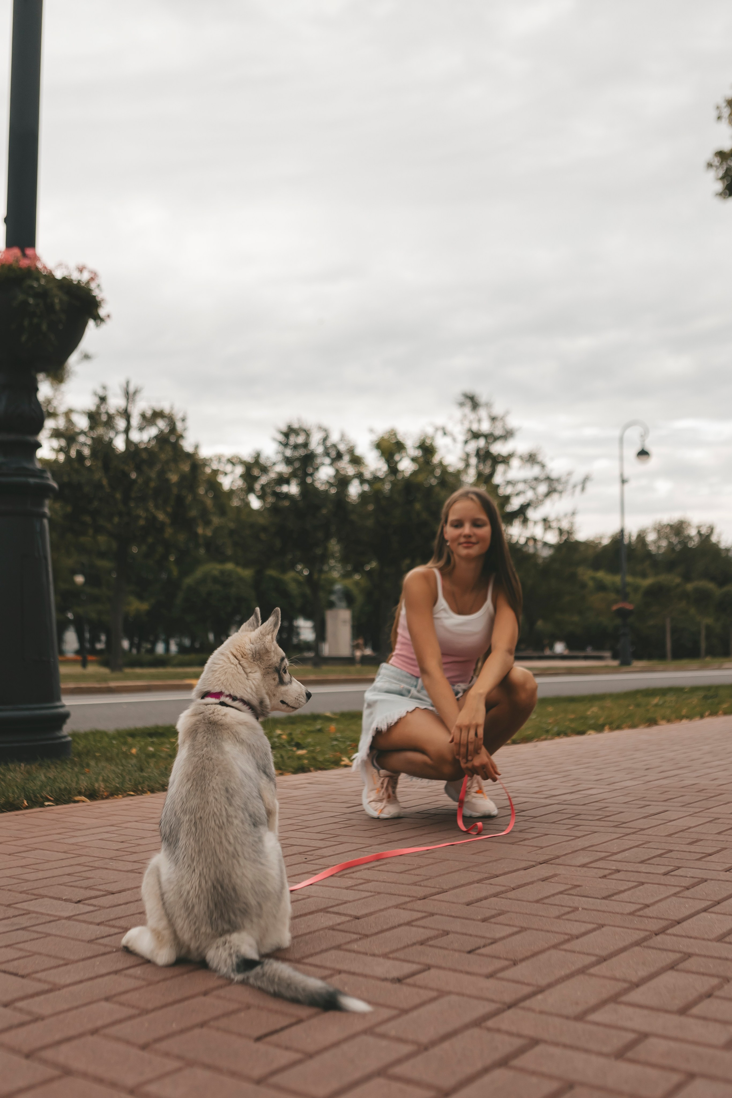Милана и Белка. Фотограф-анималист в Санкт-Петербурге Алина Яхонт