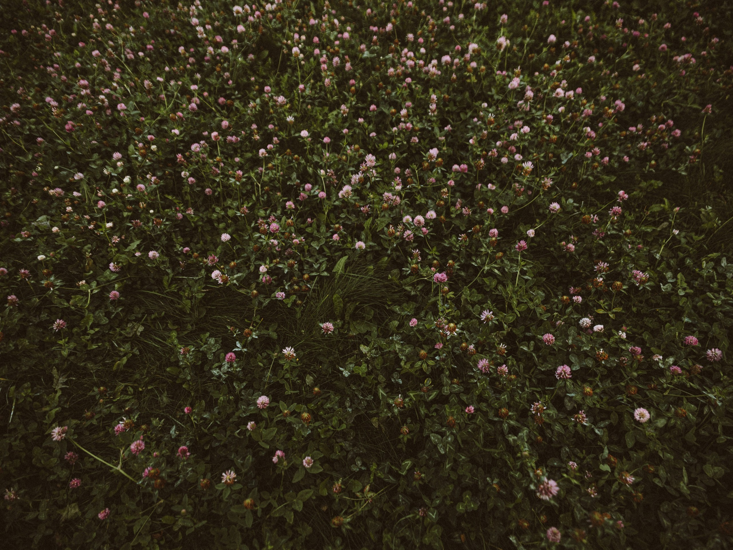 Улица горизонтальная. Jorgis — фотограф в Хургаде / обучение фотографии