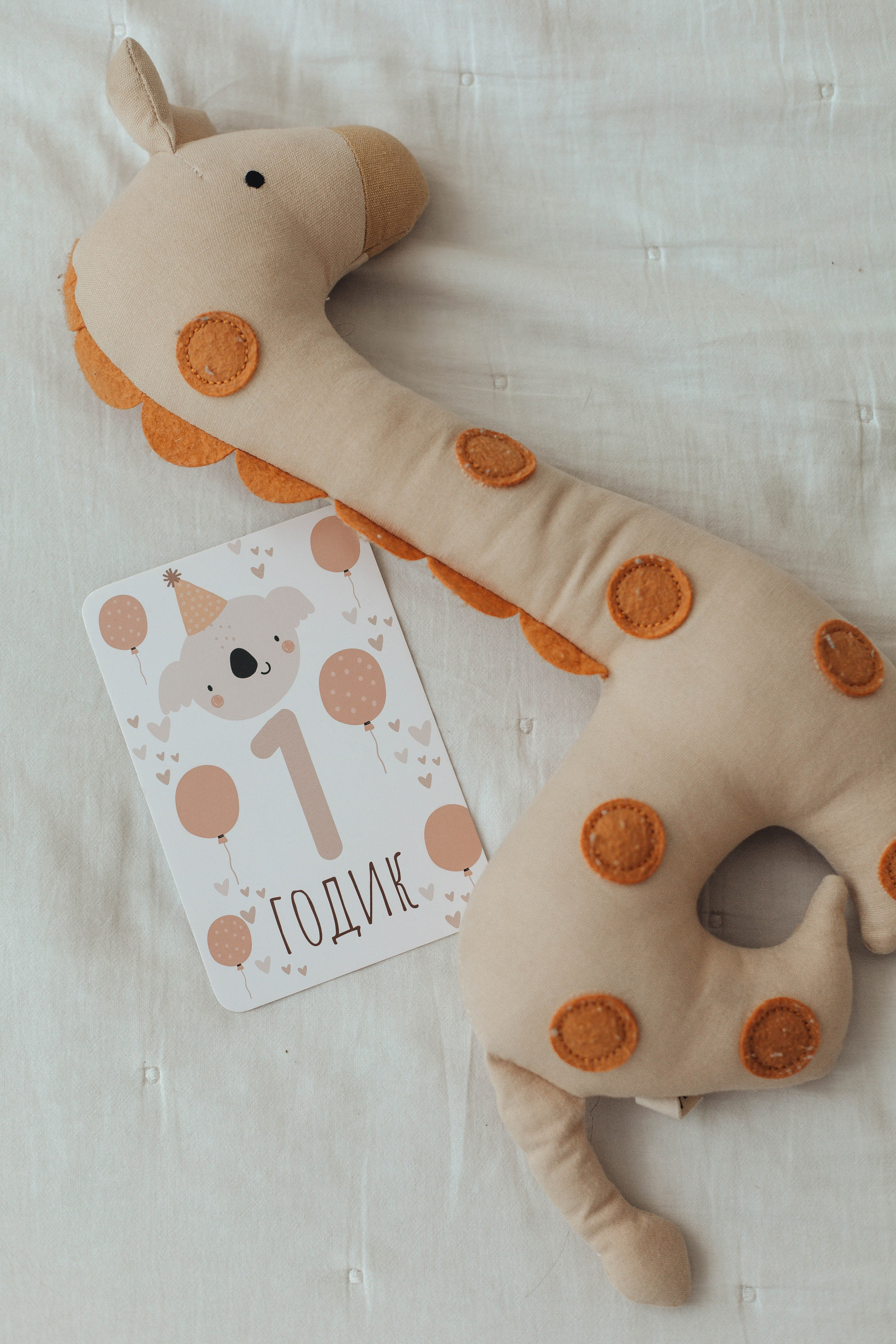 Годовасие. Фотограф Малофеева Алина