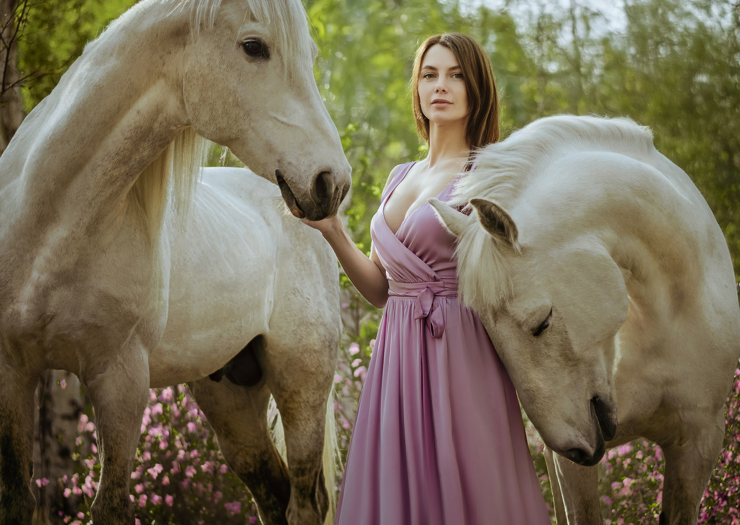 Съемка с лошадью Иркутск Иркутская область. Сайт фотографа Елены Коноваловой Иркутск