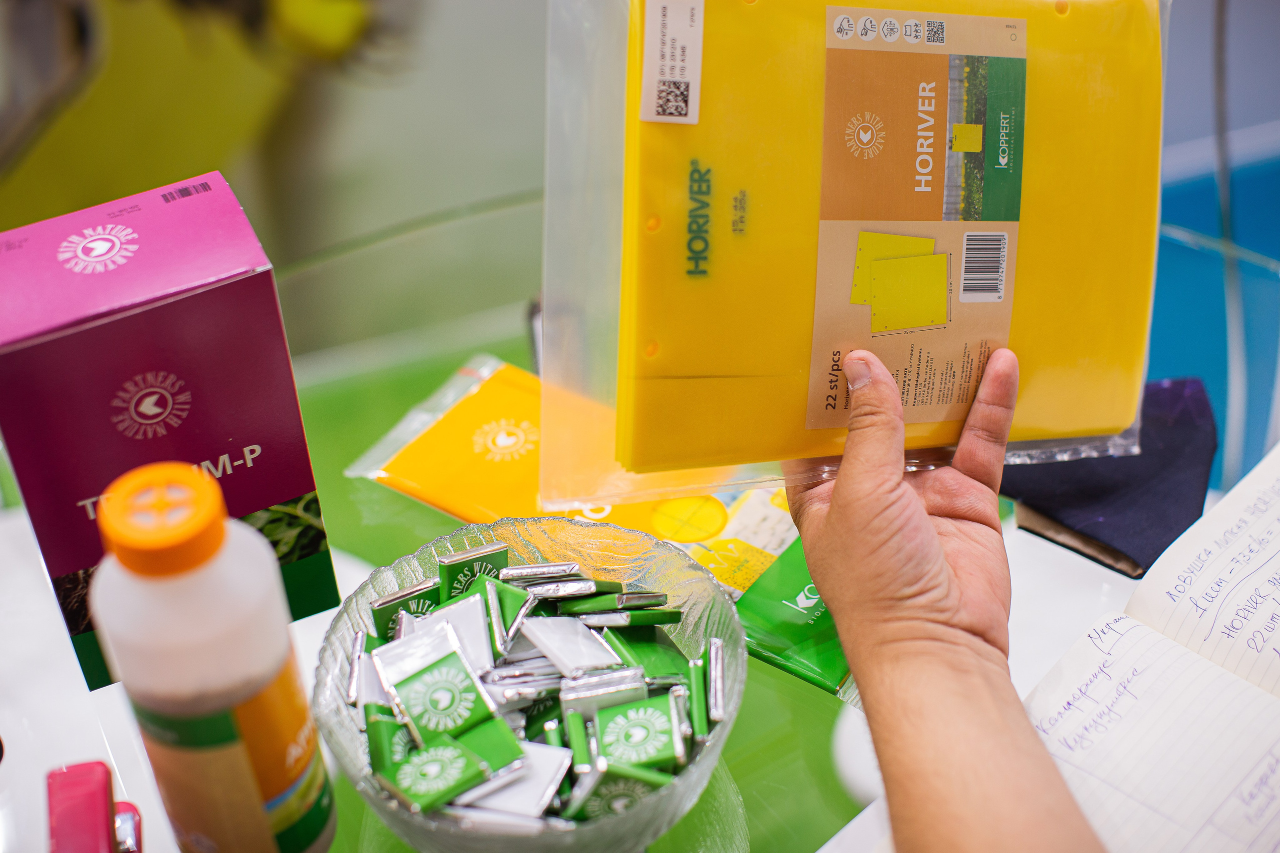 8/06/2021 ВДНХ. Фотограф НатаФото (Наталья Яковенко) Дмитров Москва Питер