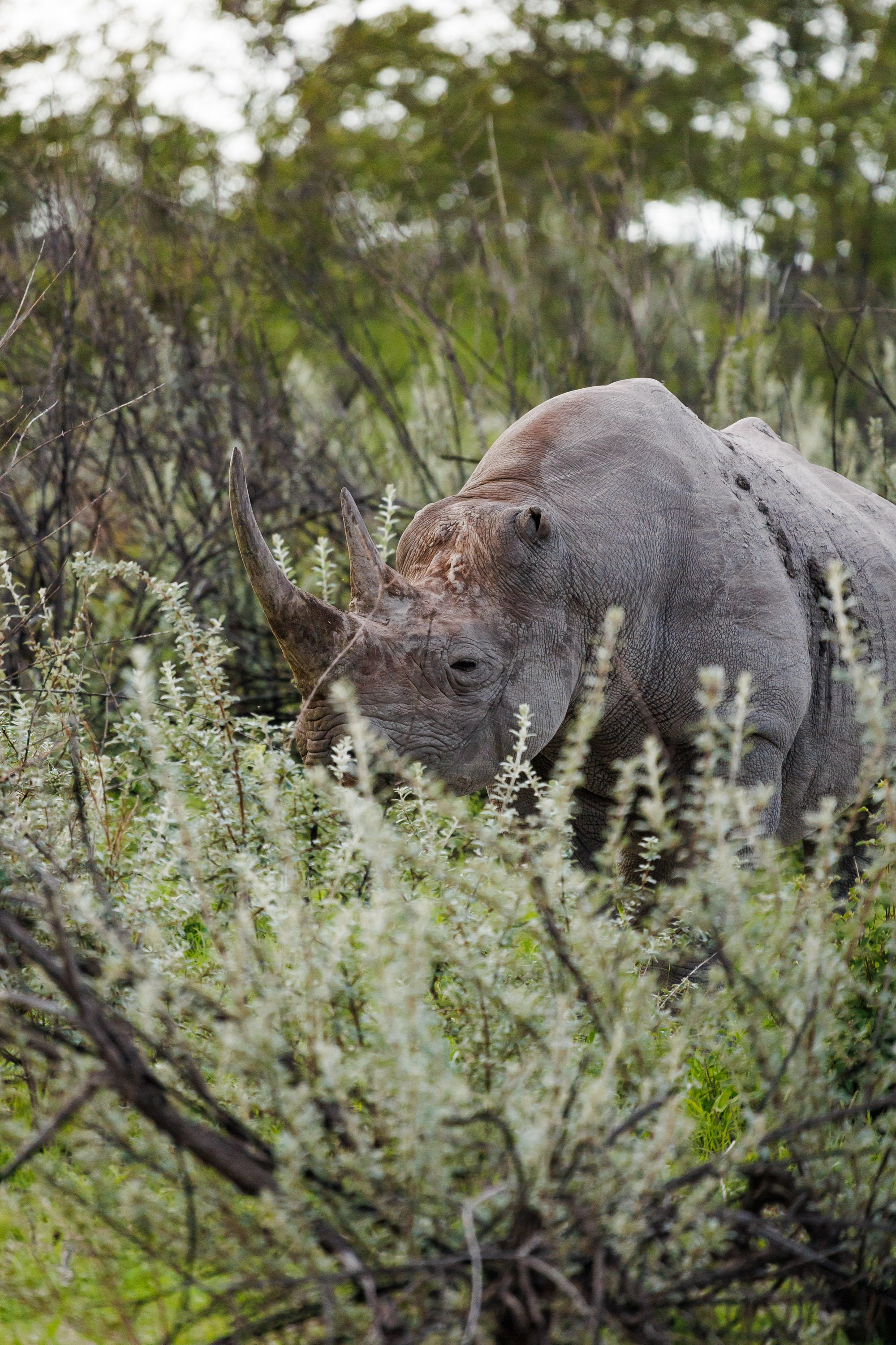 НАМИБИЯ. Роадтрип