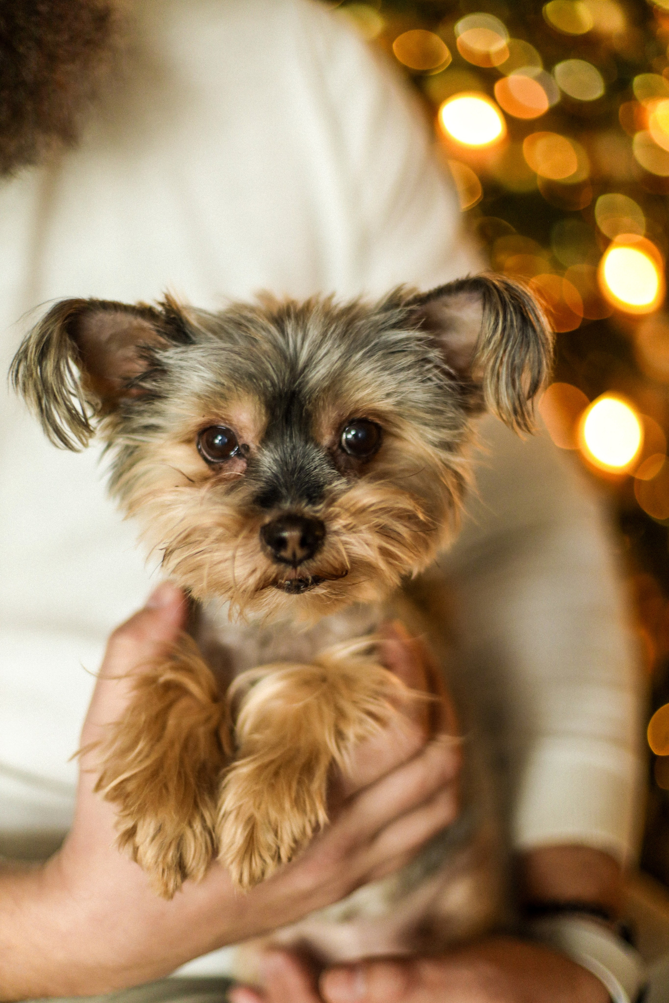 Alex, Anastasia и Аrseniy. Kharchenkotatianaweddingphoto