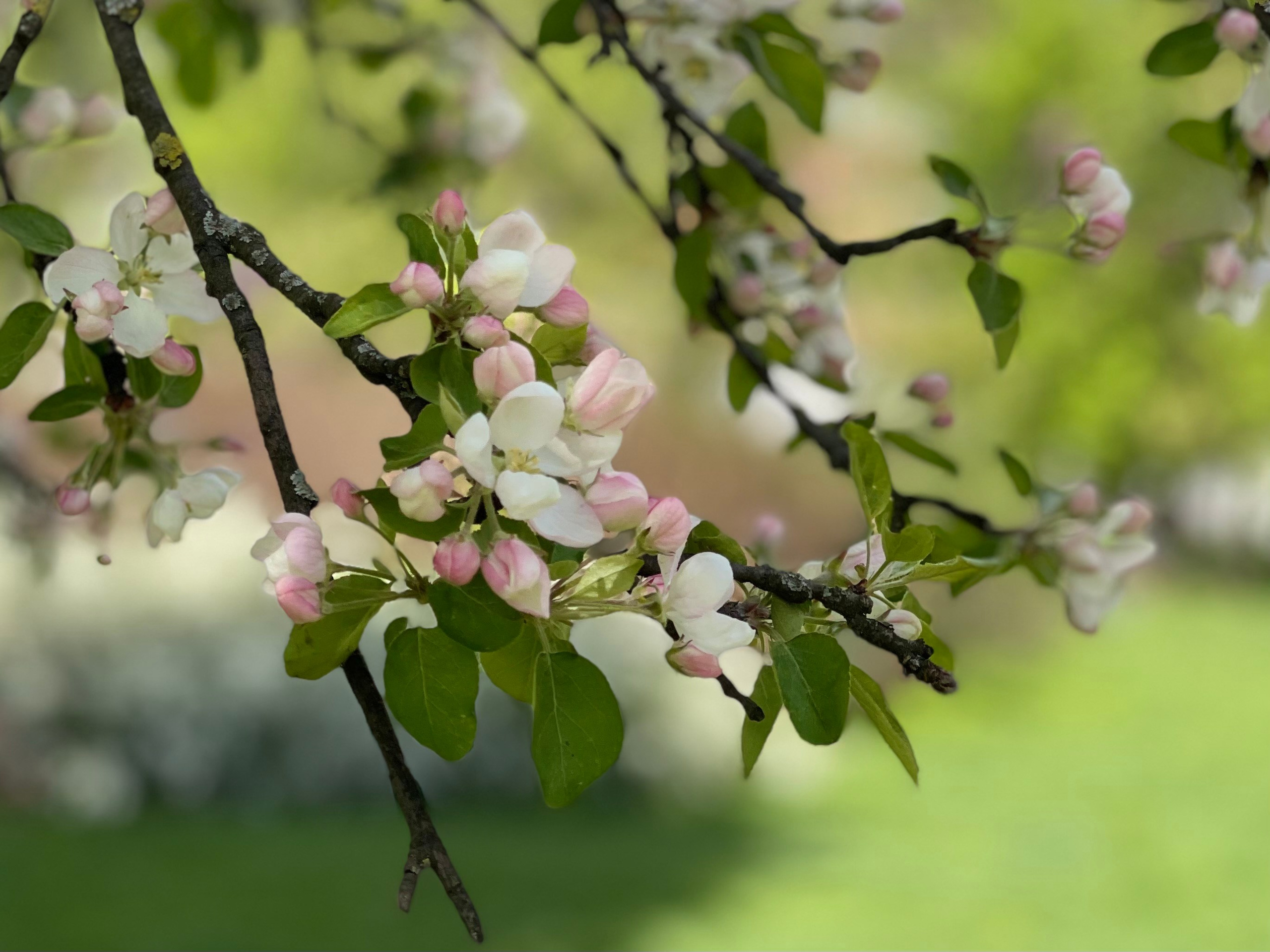 Измайлово. Экскурсовод по Москве Беляева Валентина