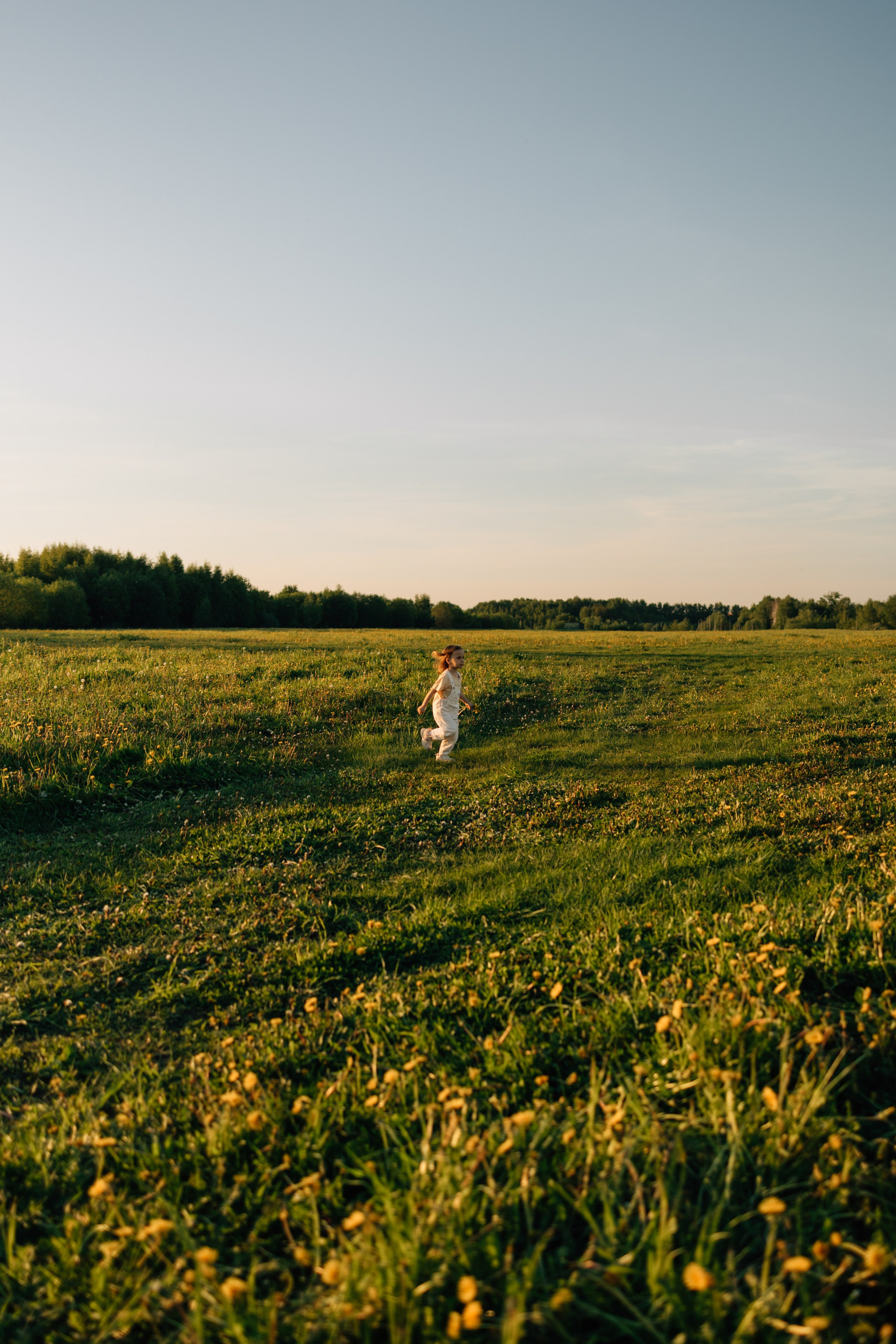 Солнечные львята. Фотограф Москва Светлана Кирюшина