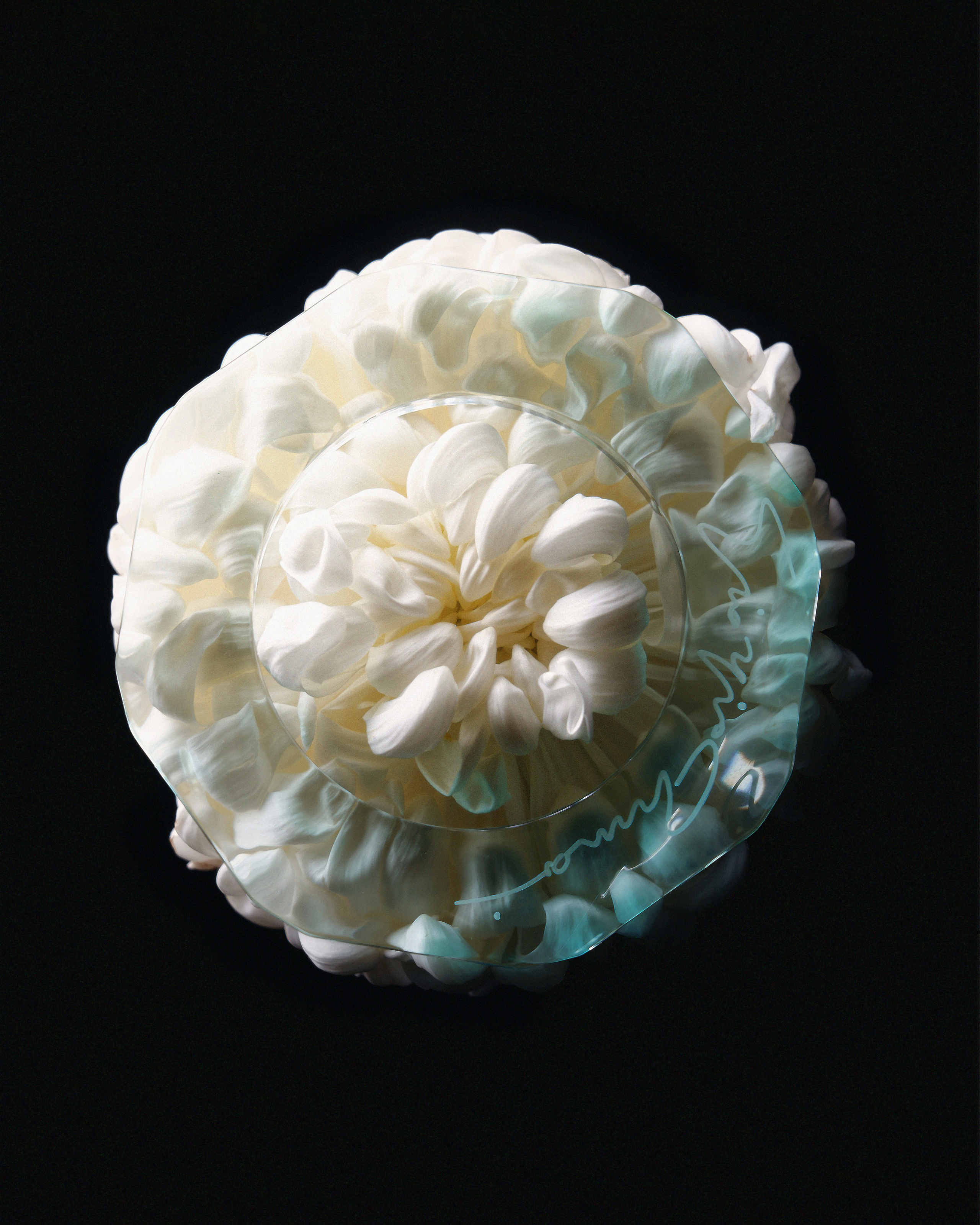 Art project flowers&jewelers. Nadezhda Diskant is a Moscow and Saint Petersburg based photographer