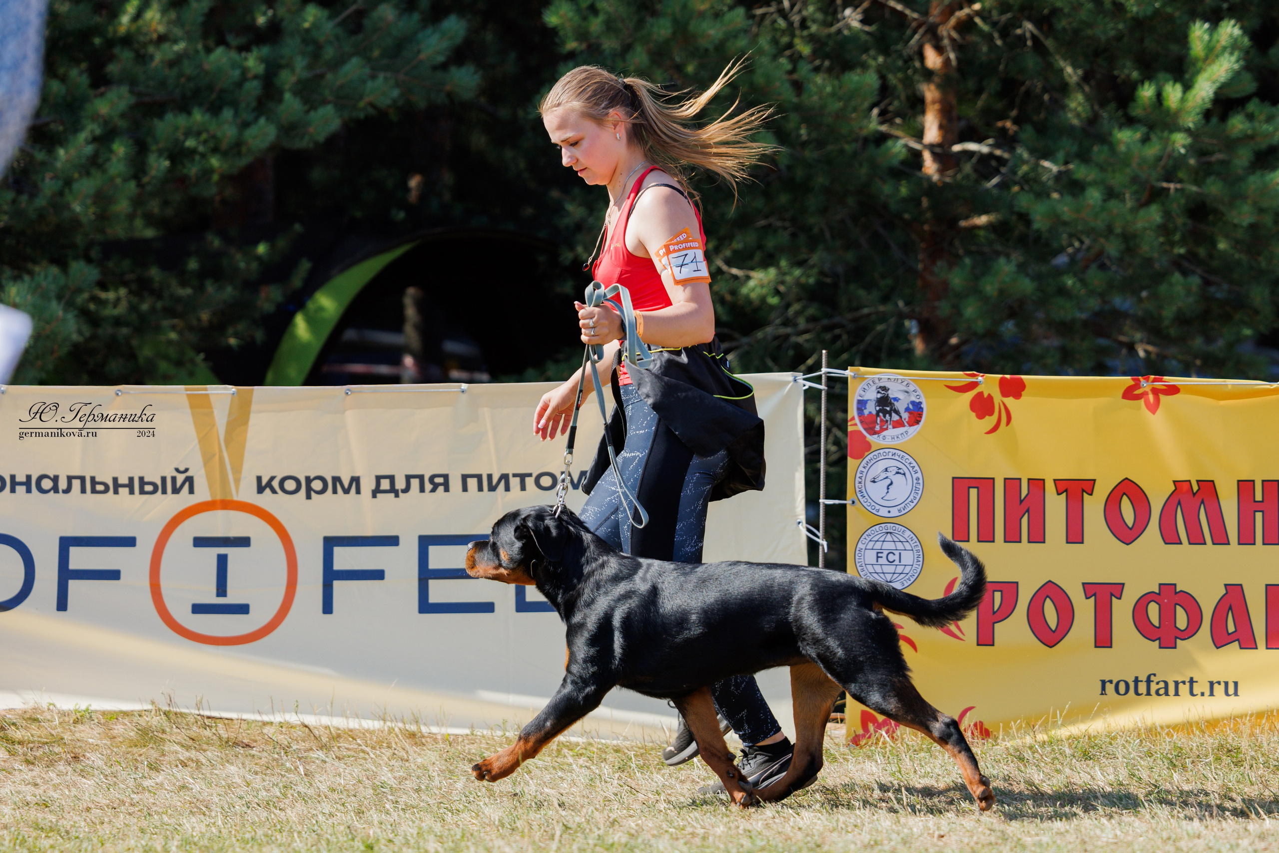 ПК и КЧК ротвейлеры Тверь 6-7.07.2024. Фотограф-анималист Юлия Германика