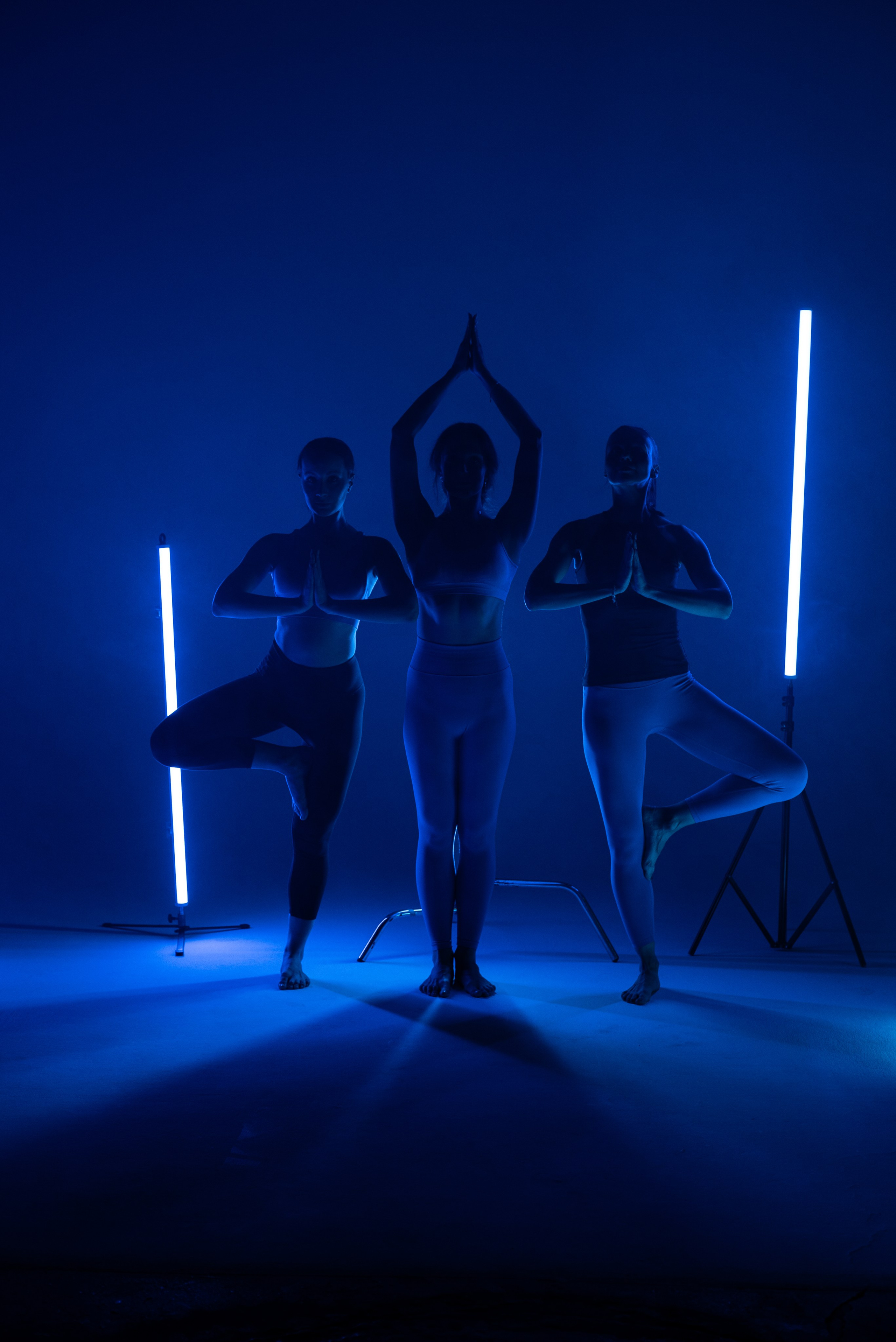 Портфолио. Журавлёва Елена