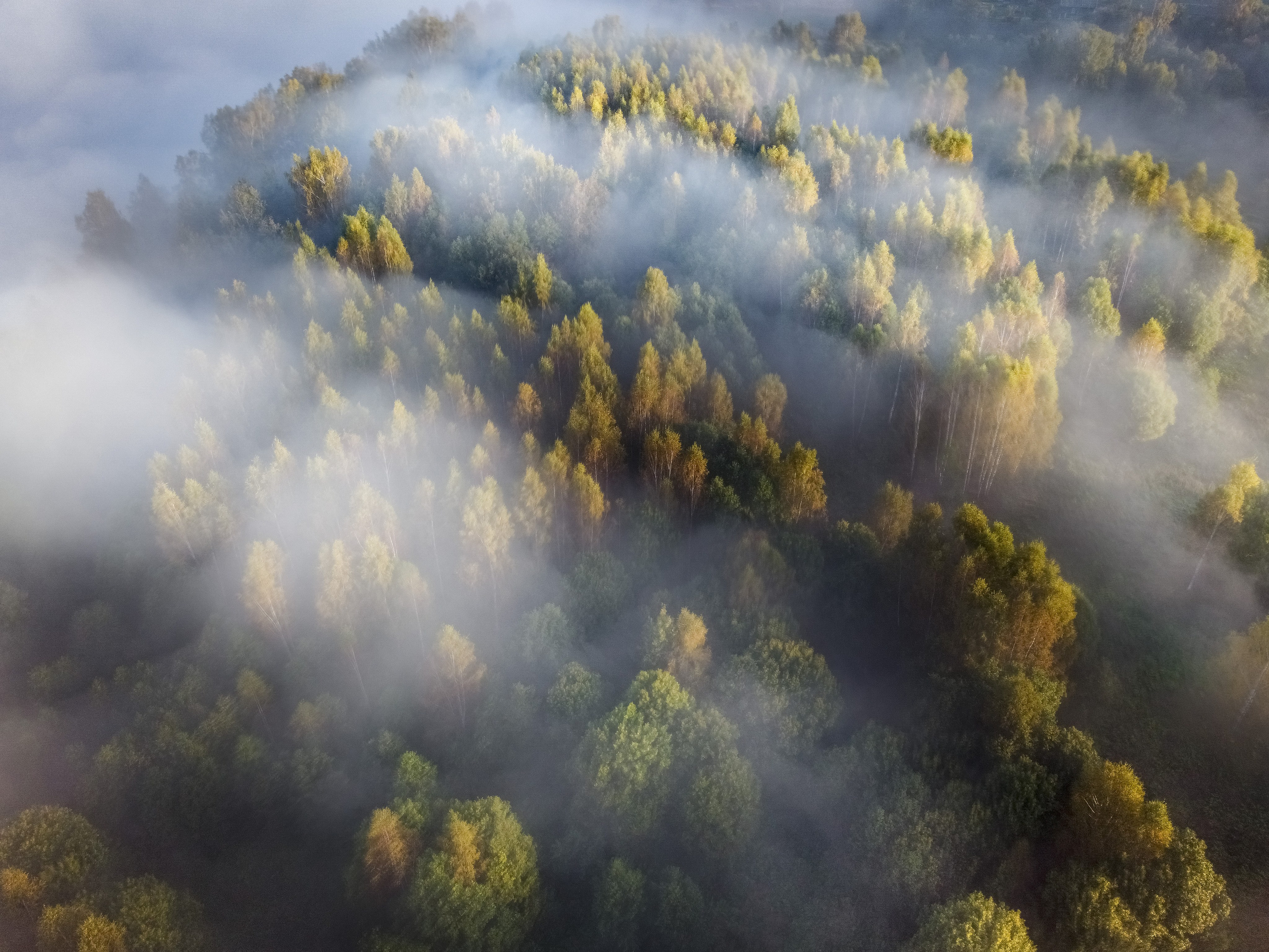Природа Старицкого края. Осень. Сайт пейзажного фотографа Павла Крайникова