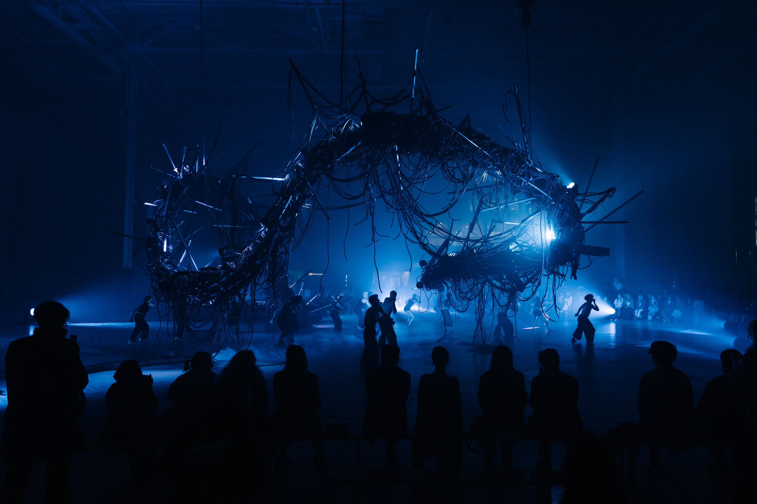 PERFORMA, The Hour of the Horse. @tomrus: Рустам Шагиморданов — фотограф