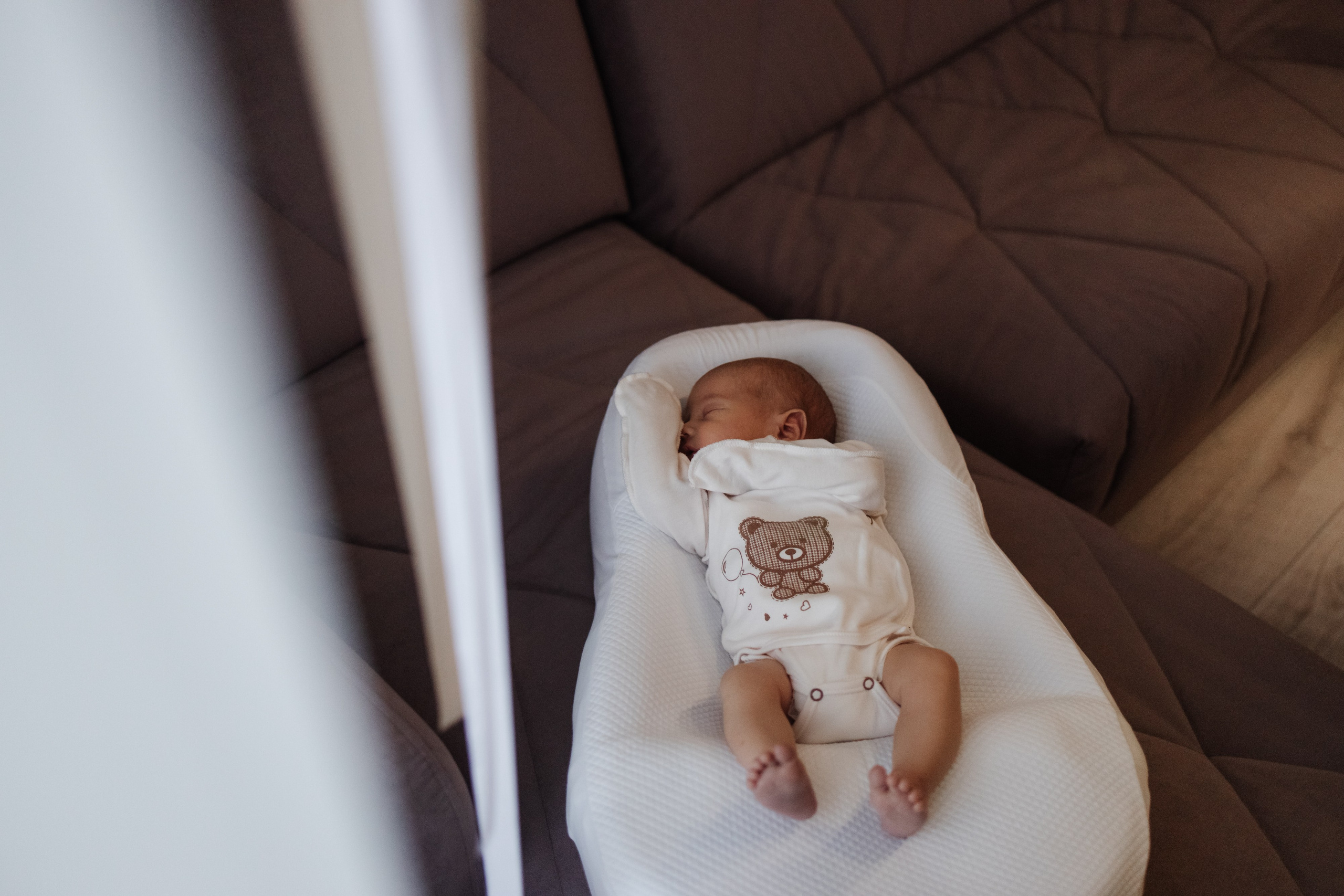 Гордей. Фотограф Новосибирск