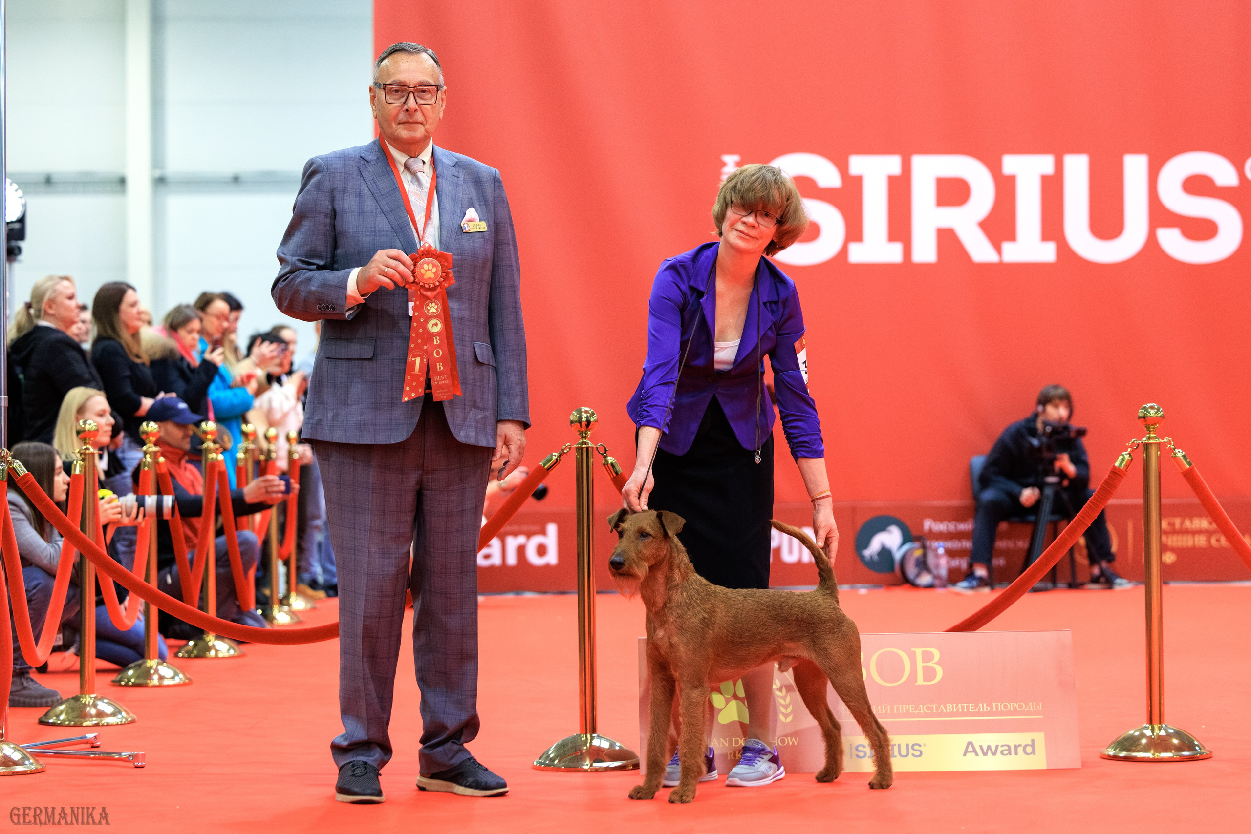 Лучшие Собаки России 17-18.02.2024. Фотограф-анималист Юлия Германика