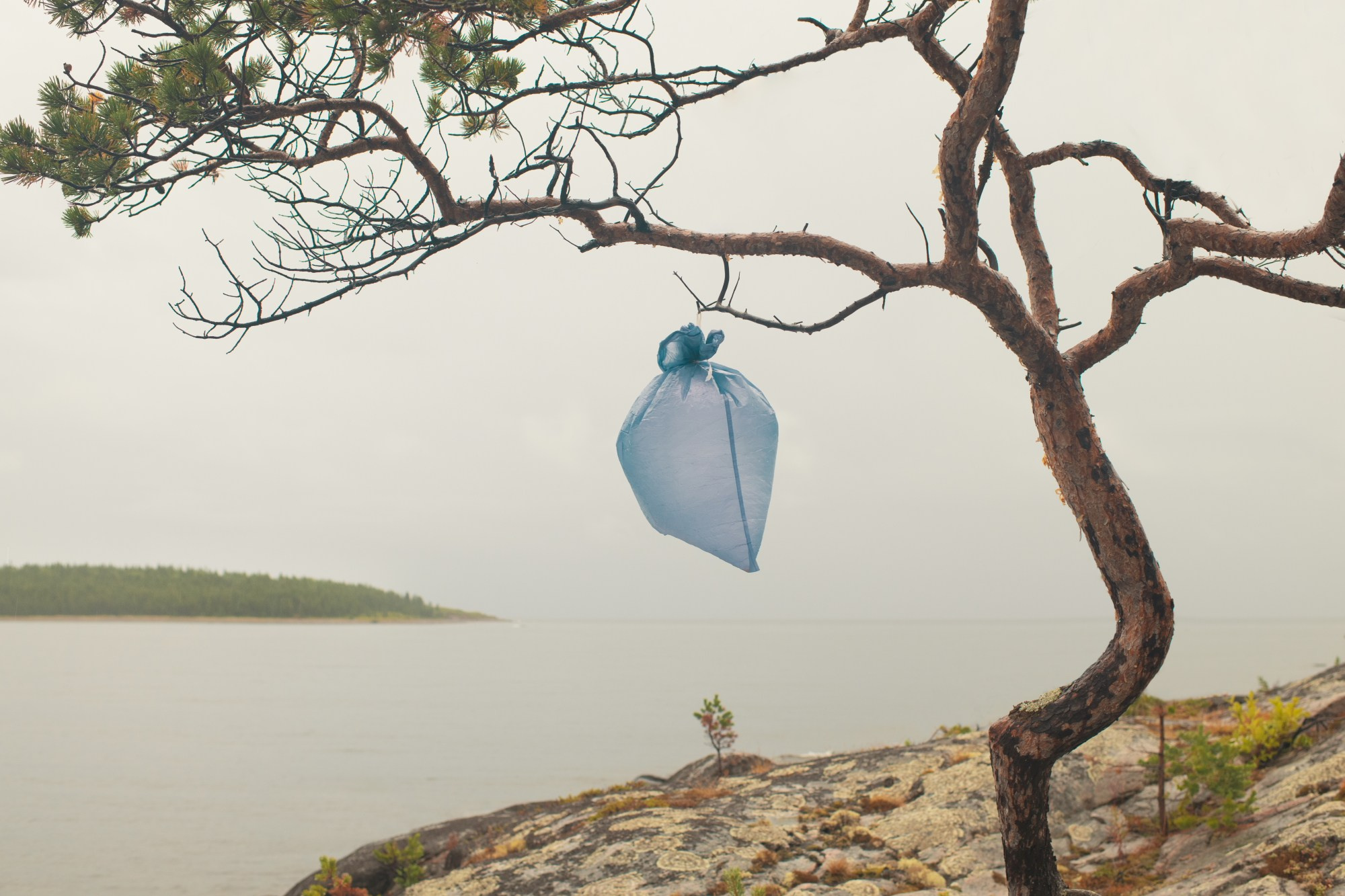 The Expiration Date. ALEXEY KRYLOV | Photography