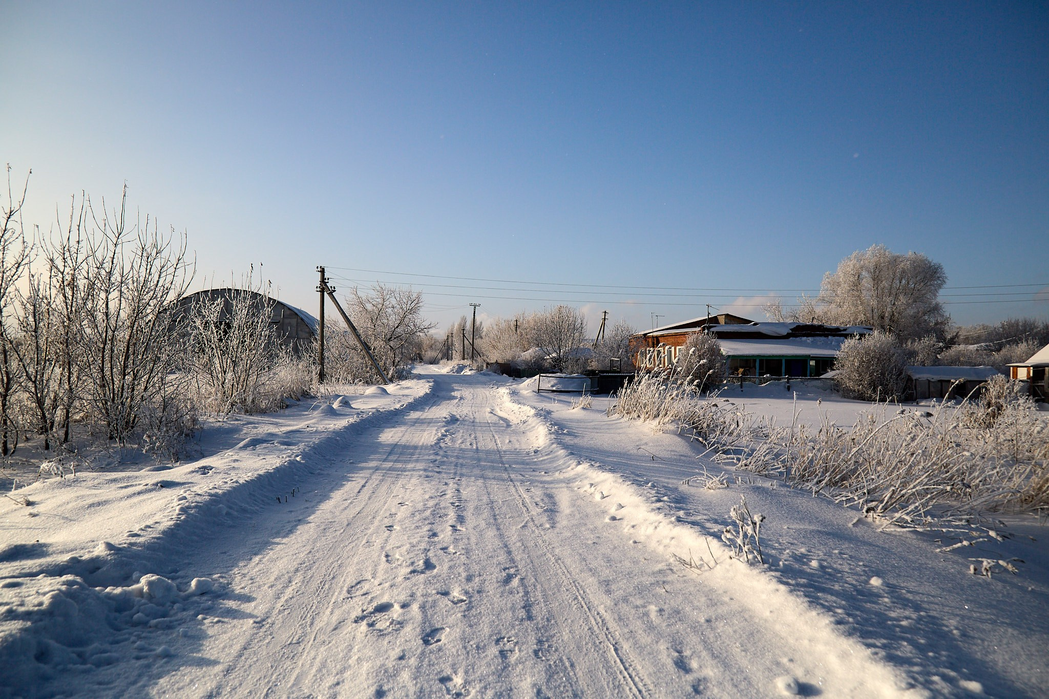 Предновогодняя сказка. Фотограф Омск | Александр Вандеров
