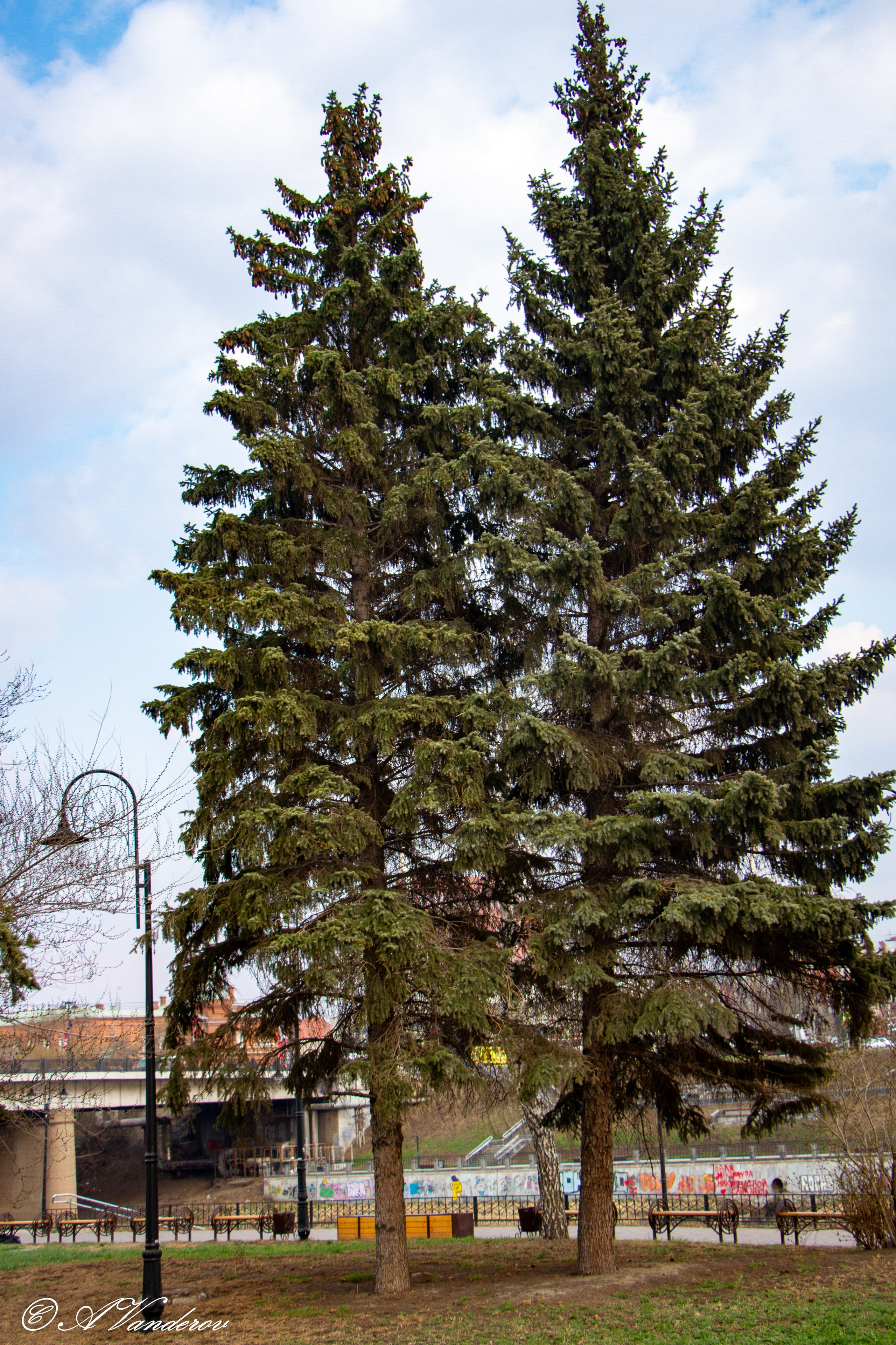 Омск 2023. Фотограф Омск | Александр Вандеров