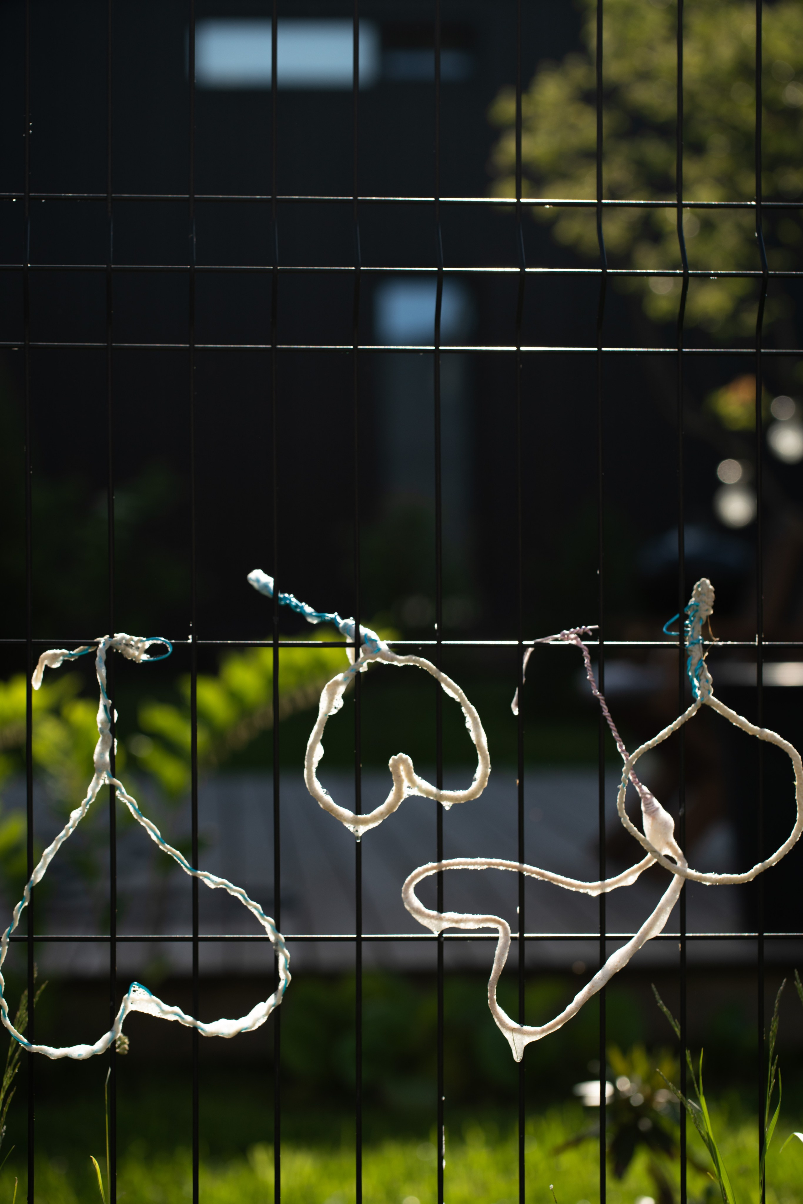 День рождения Лёвы. Видеооператор, фотограф в Санкт-Петербурге