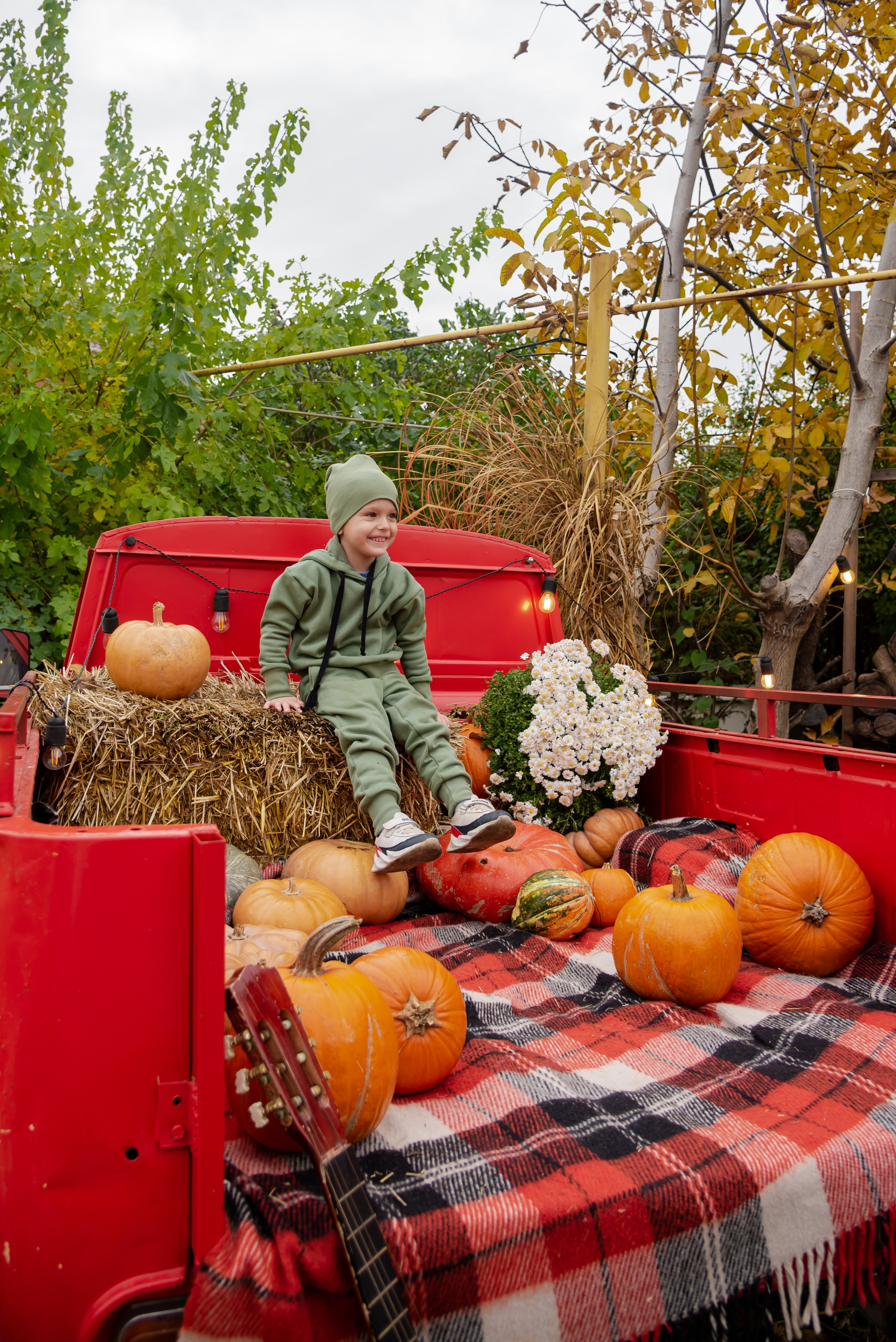 Авакадо. Фотограф Галина Нестерова