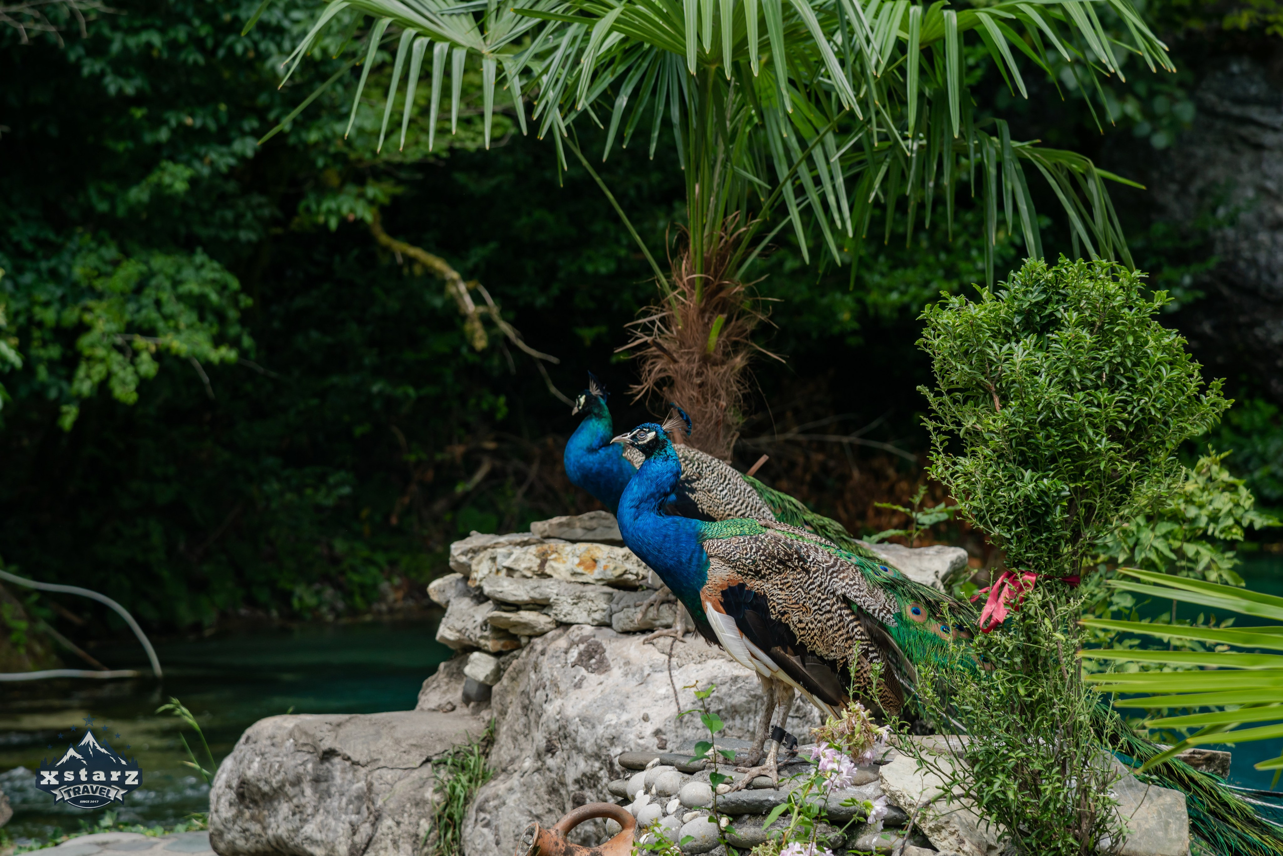 Тур в Абхазию. Фотограф Галина Нестерова