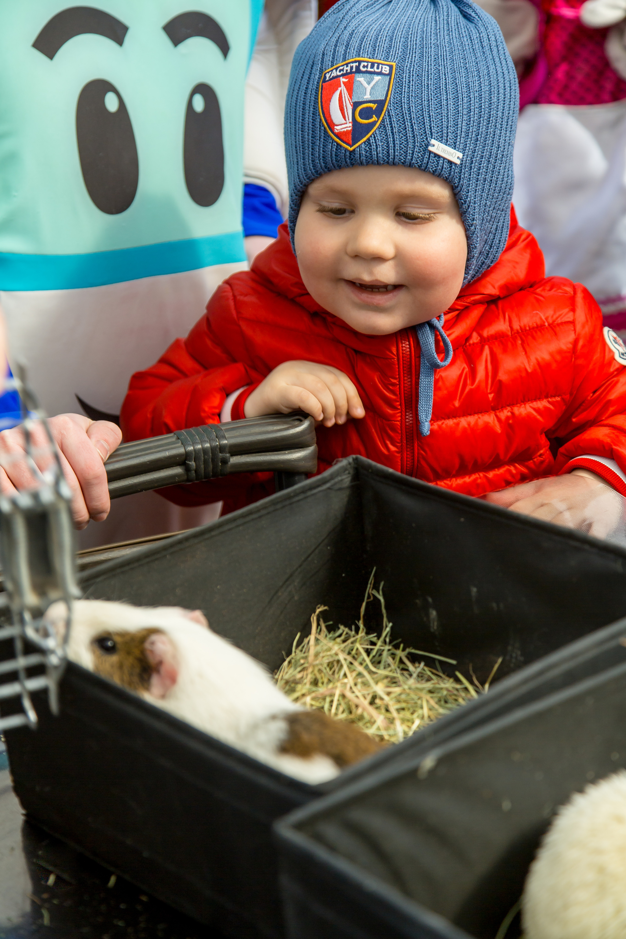 МАРКИ 3 ГОДА. Главная