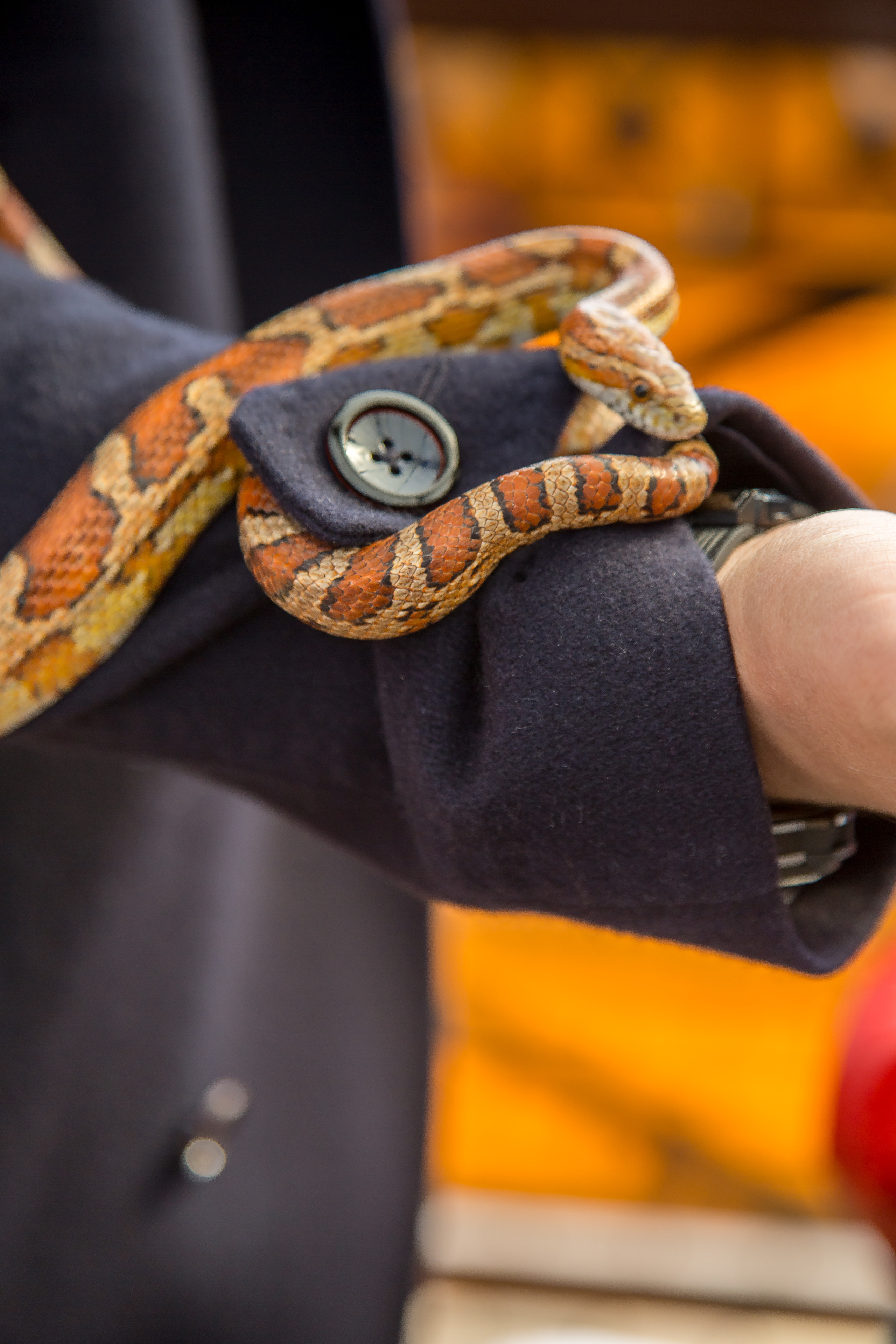 МАРКИ 3 ГОДА. Главная