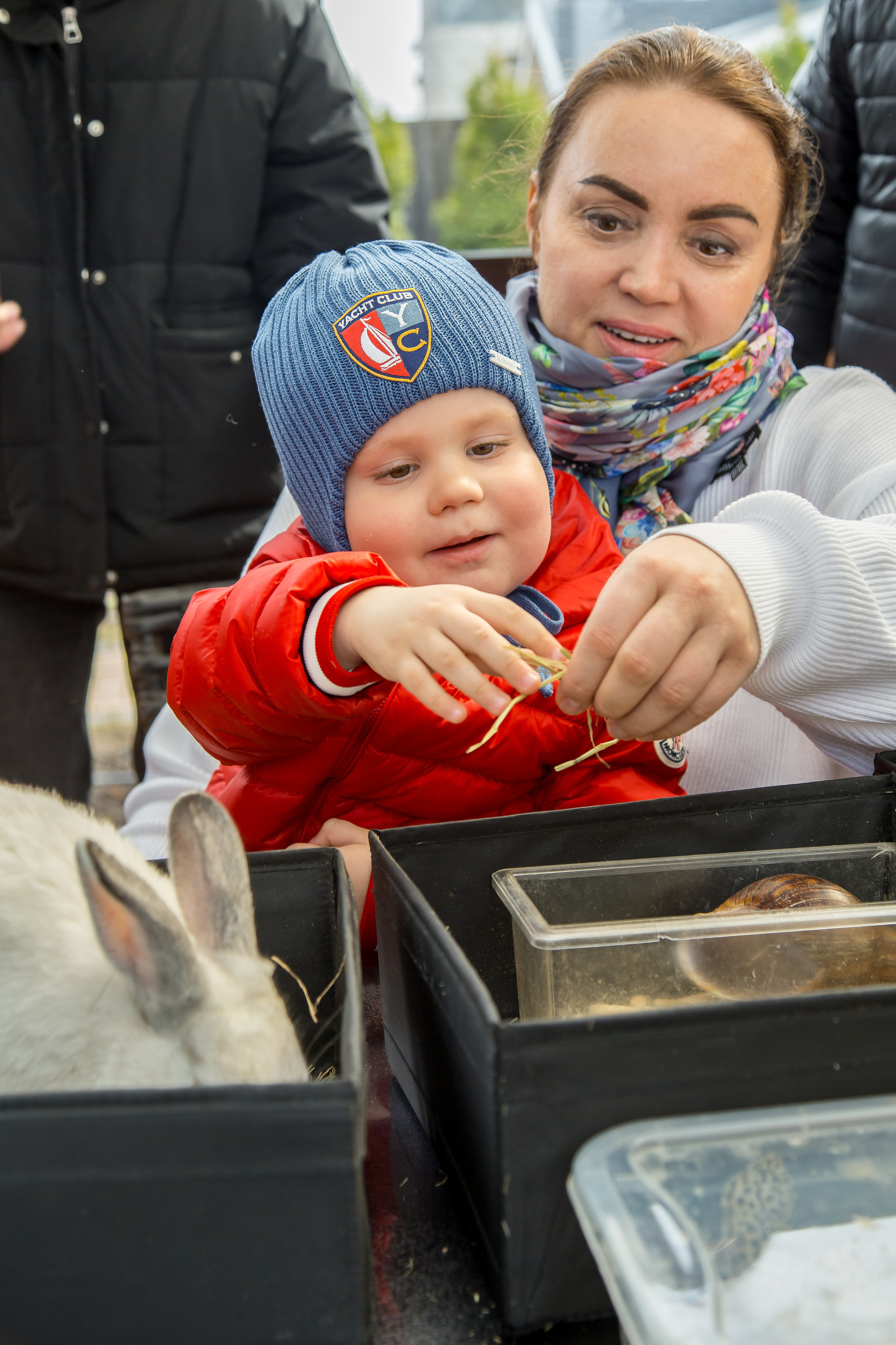МАРКИ 3 ГОДА. Главная