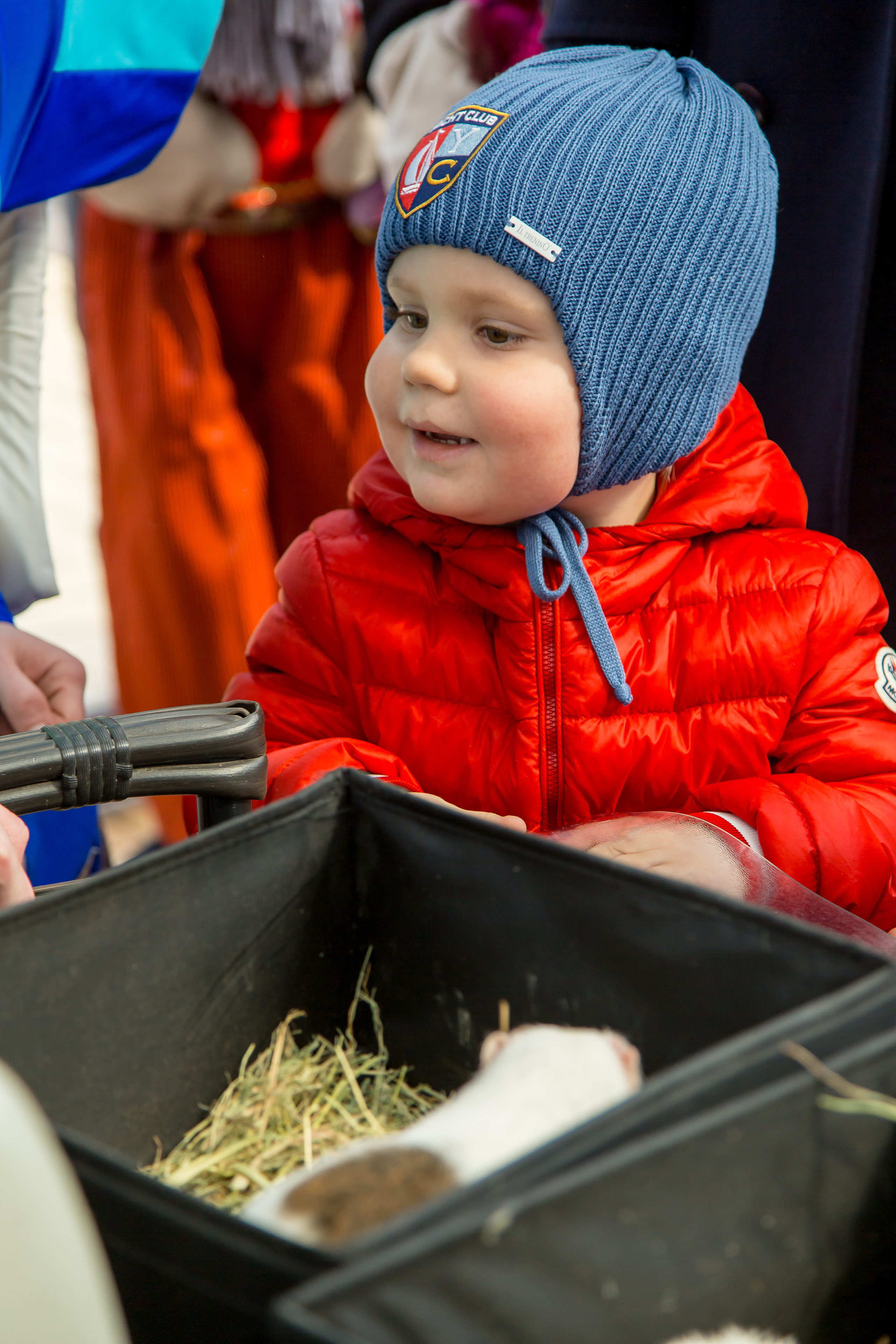 МАРКИ 3 ГОДА. Главная