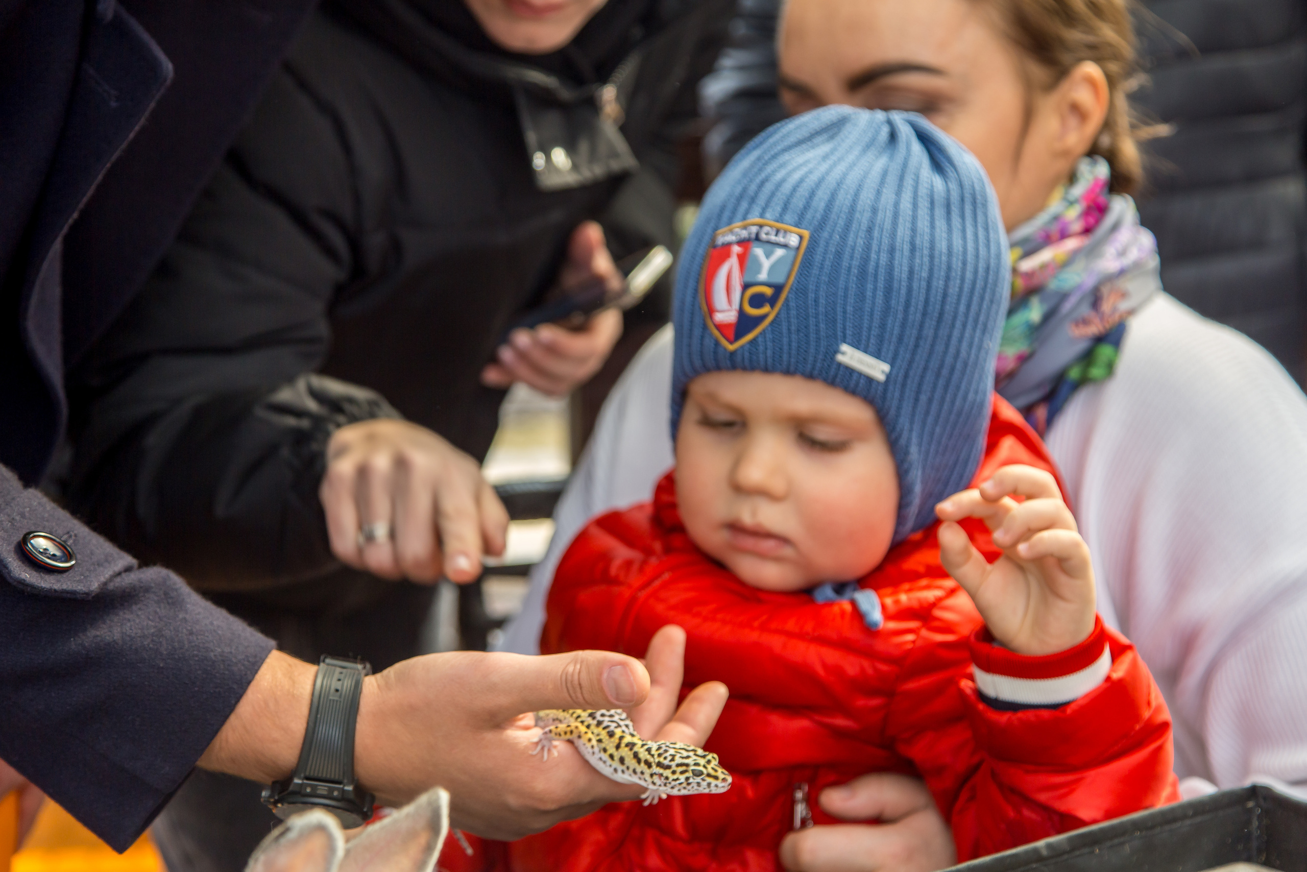 МАРКИ 3 ГОДА. Главная