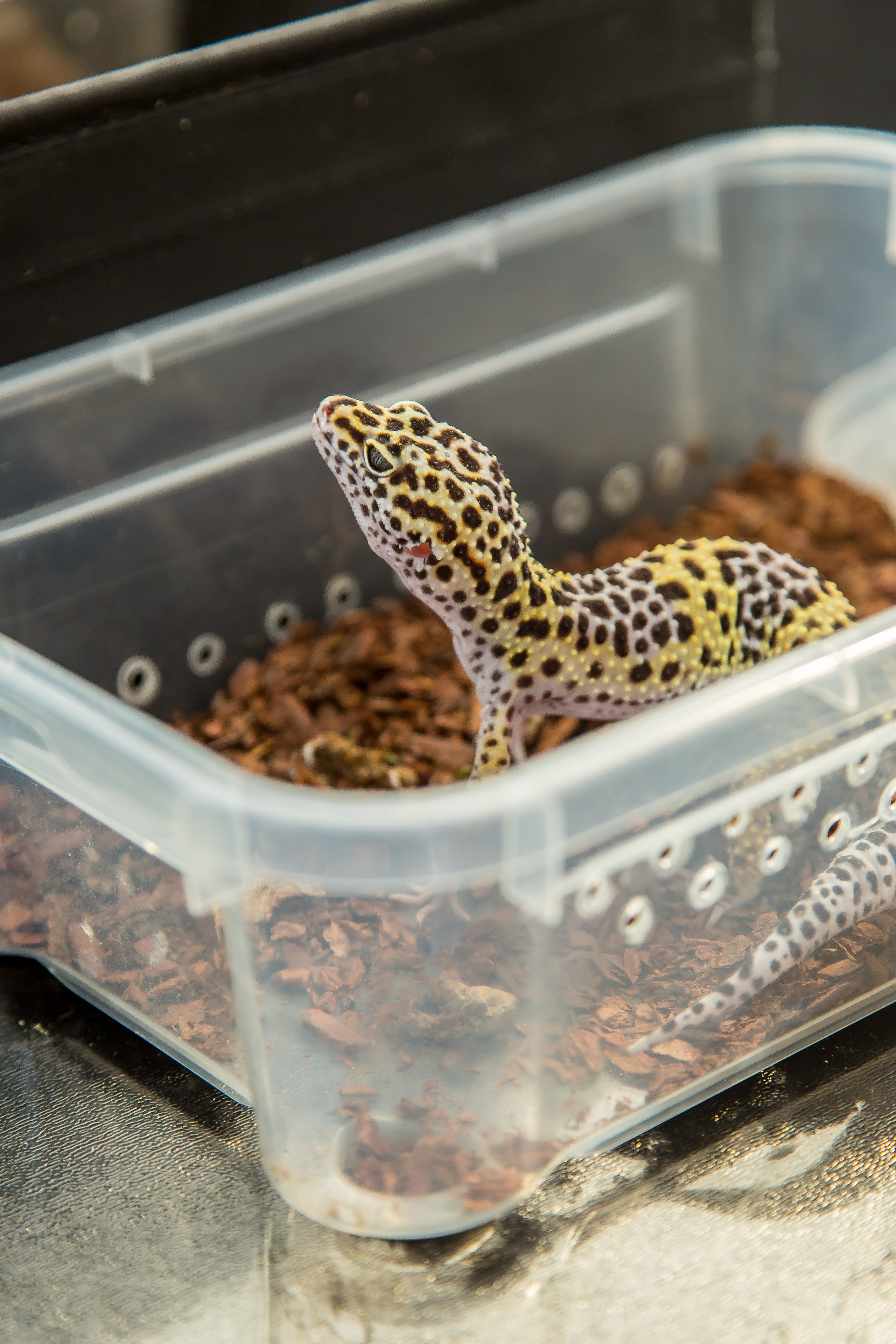 МАРКИ 3 ГОДА. Главная