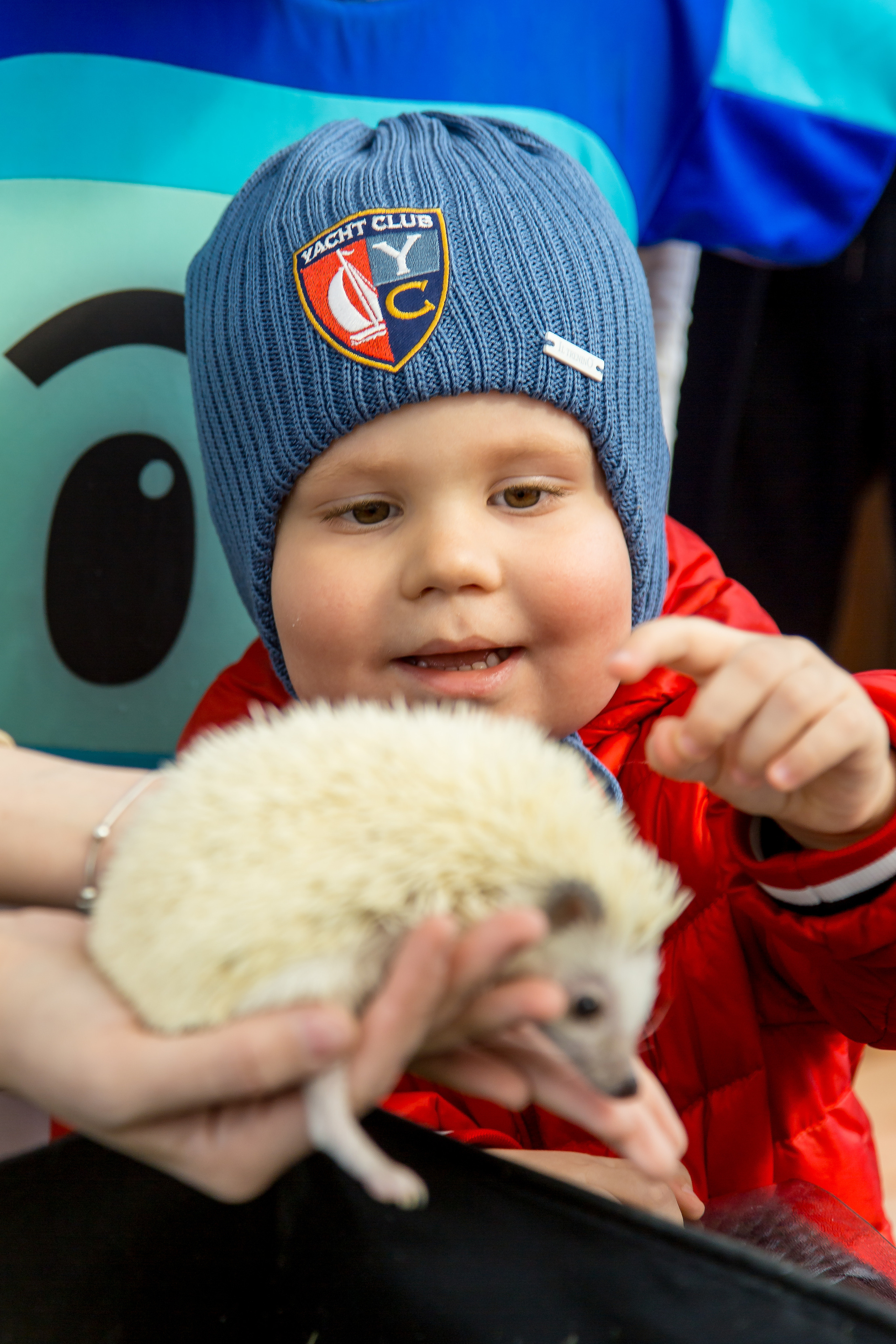 МАРКИ 3 ГОДА. Главная