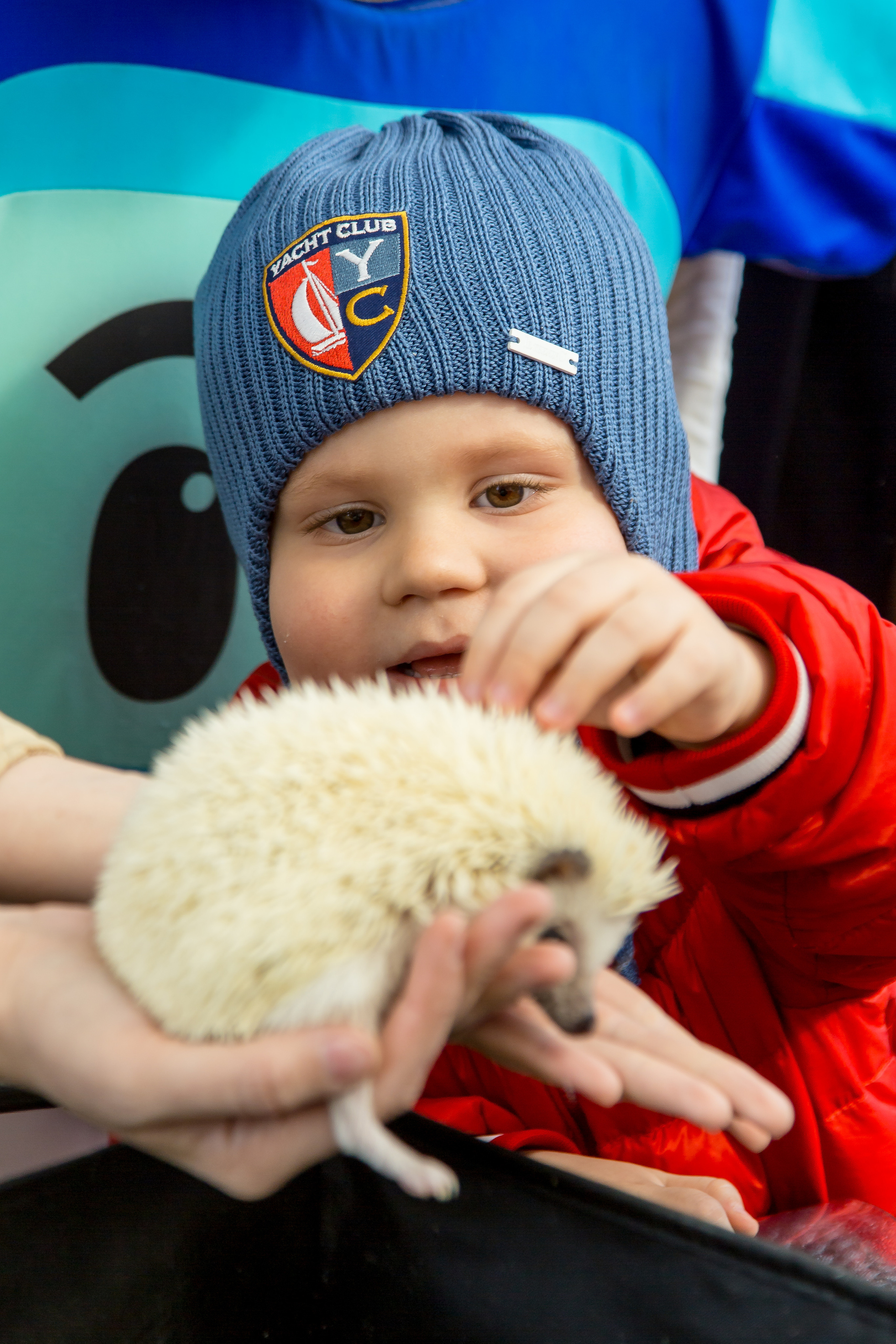 МАРКИ 3 ГОДА. Главная