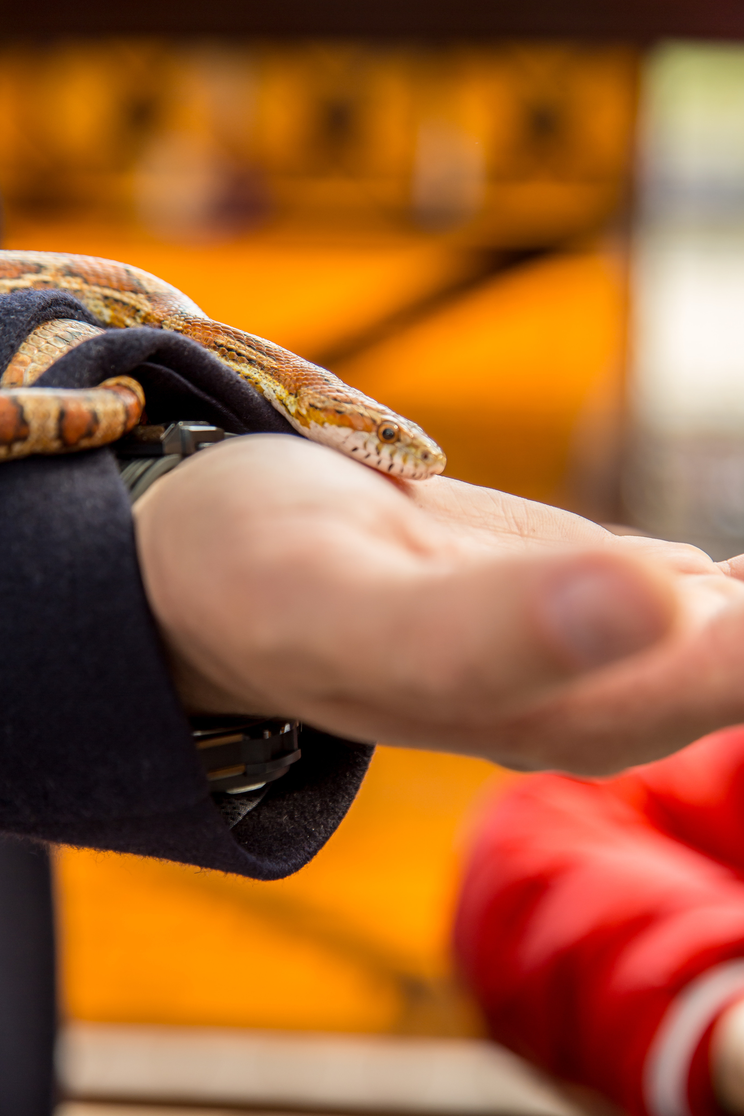 МАРКИ 3 ГОДА. Главная