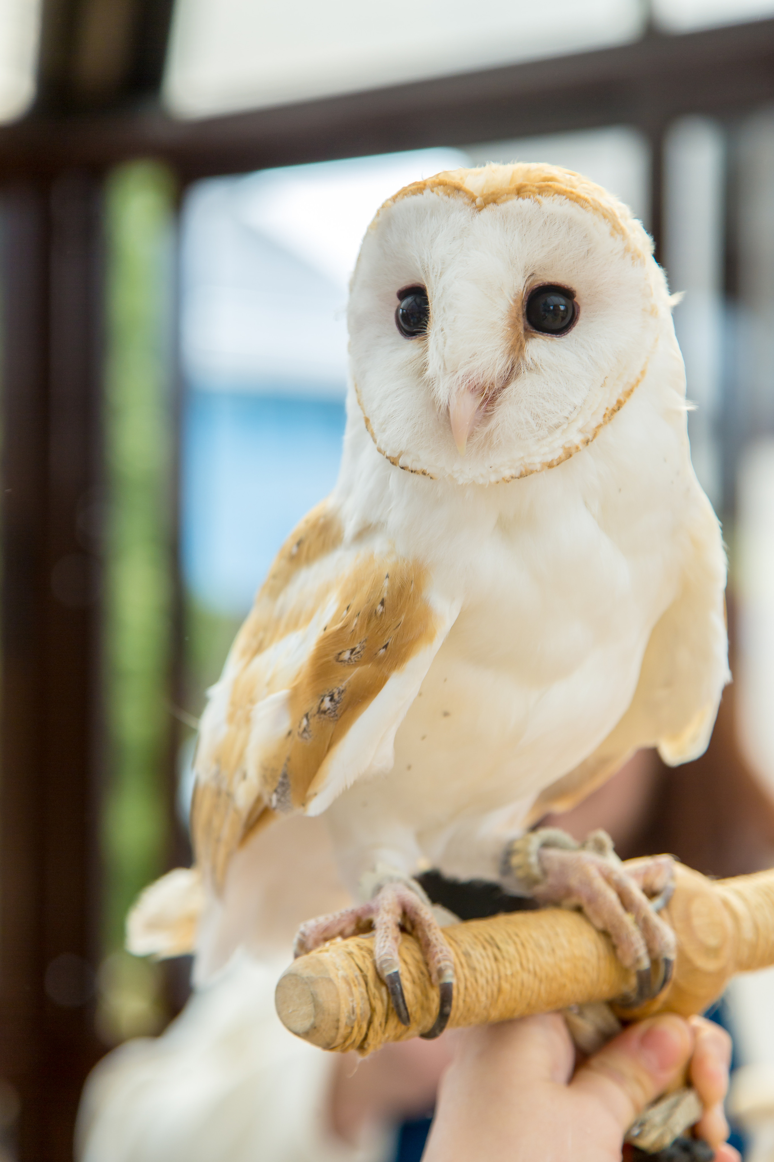 МАРКИ 3 ГОДА. Главная