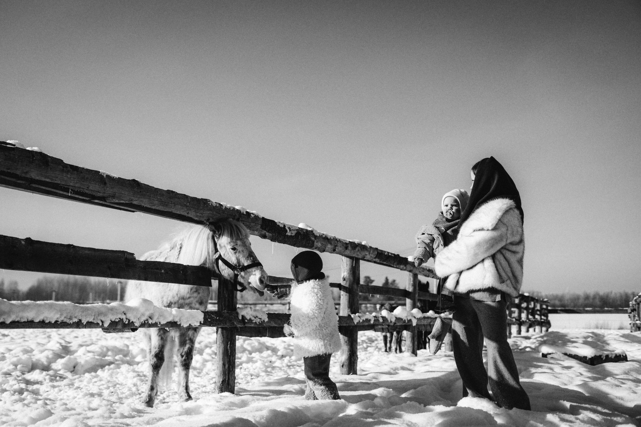 Настя с Сашей и Полей на ферме. Klerout Photographer