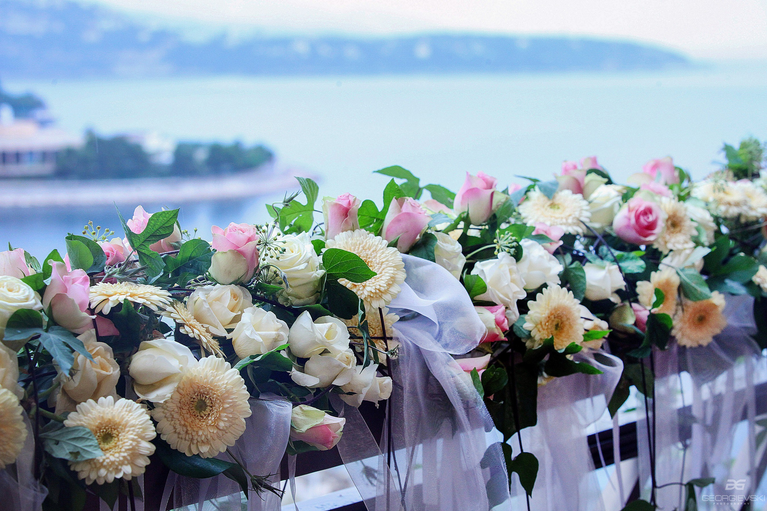 EVENT. Denisgeorgievski