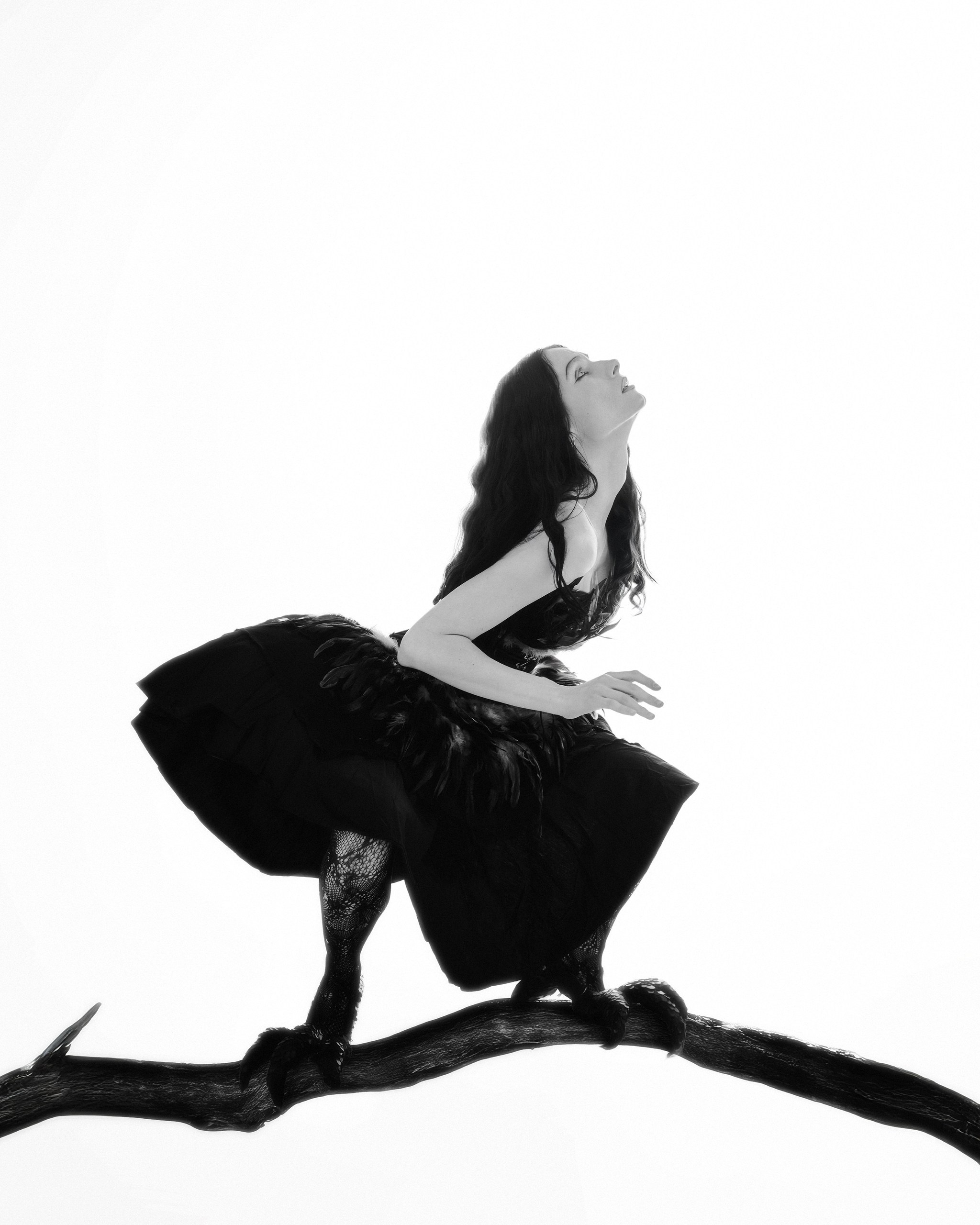 Bird. ГЛАВНАЯ