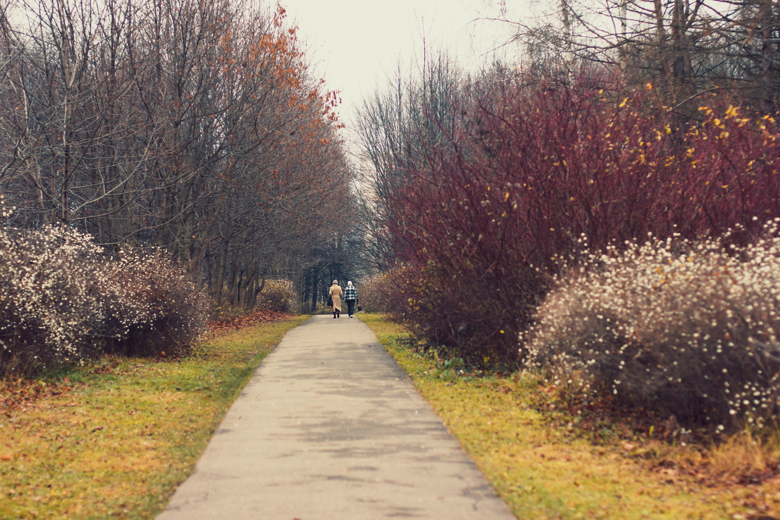 Фотокартины. Семейный фотограф Ирина Ильиных-Вольная в Москве и не только