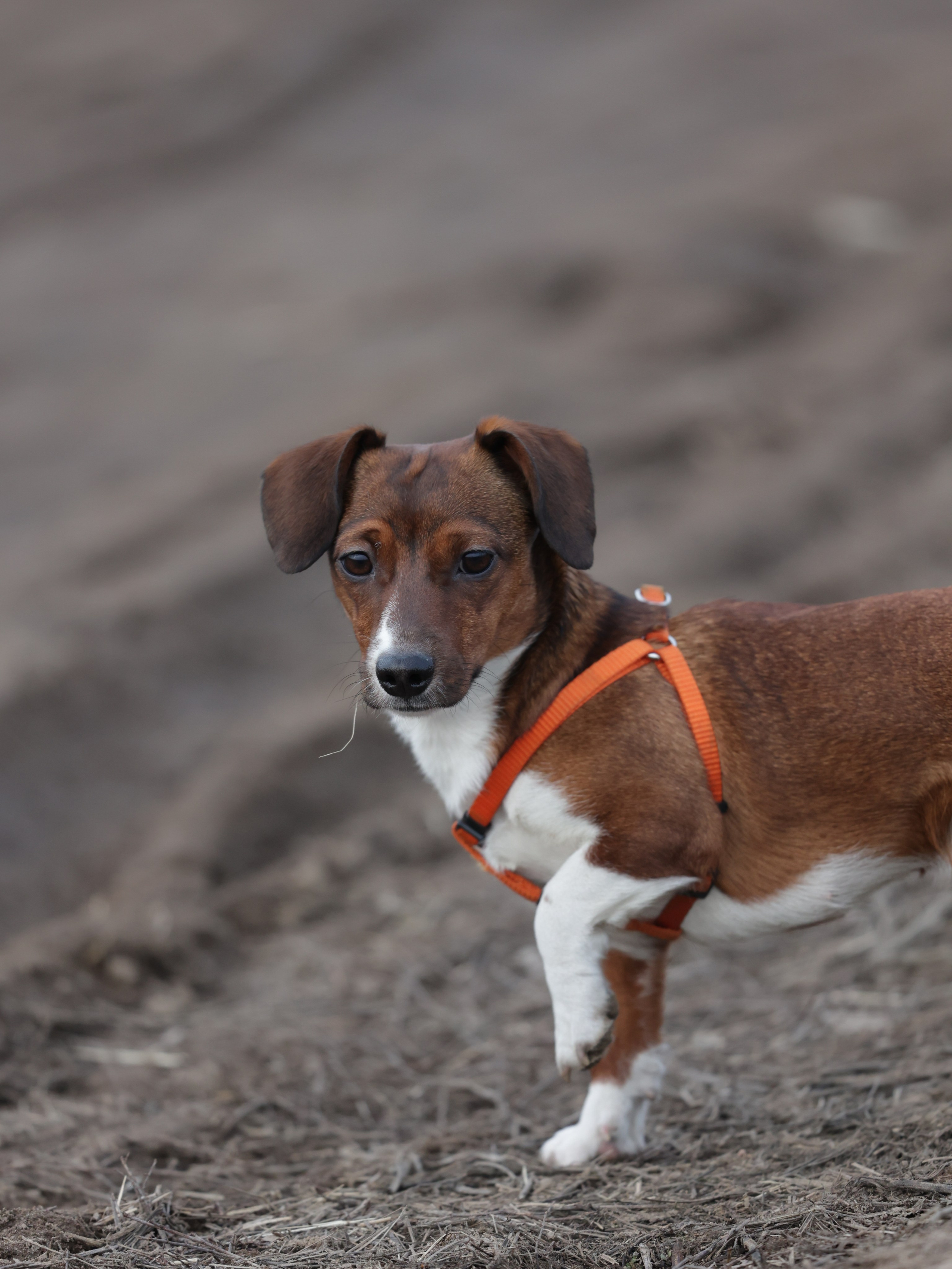 Мия. Фотограф для маркетплейсов, фотоуслуги в Жуковском Татьяна Марсуверских