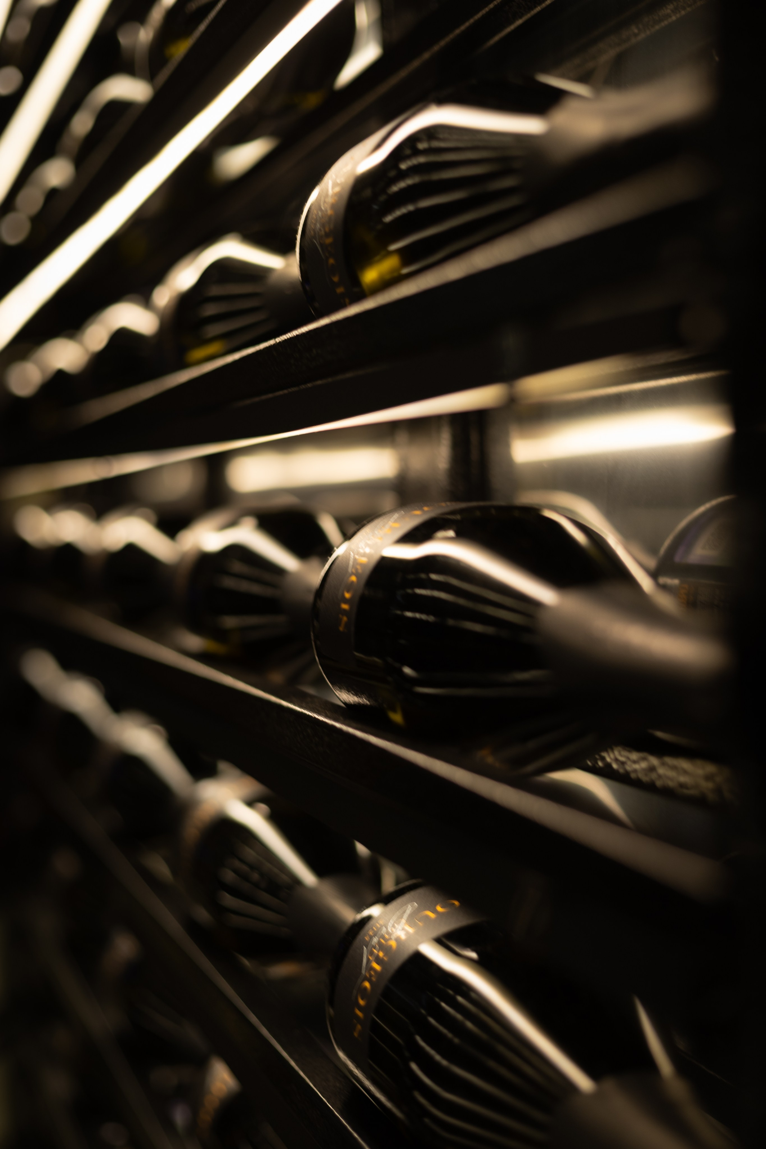 Открытие Мясо&Рыбо. Фотограф в Москве