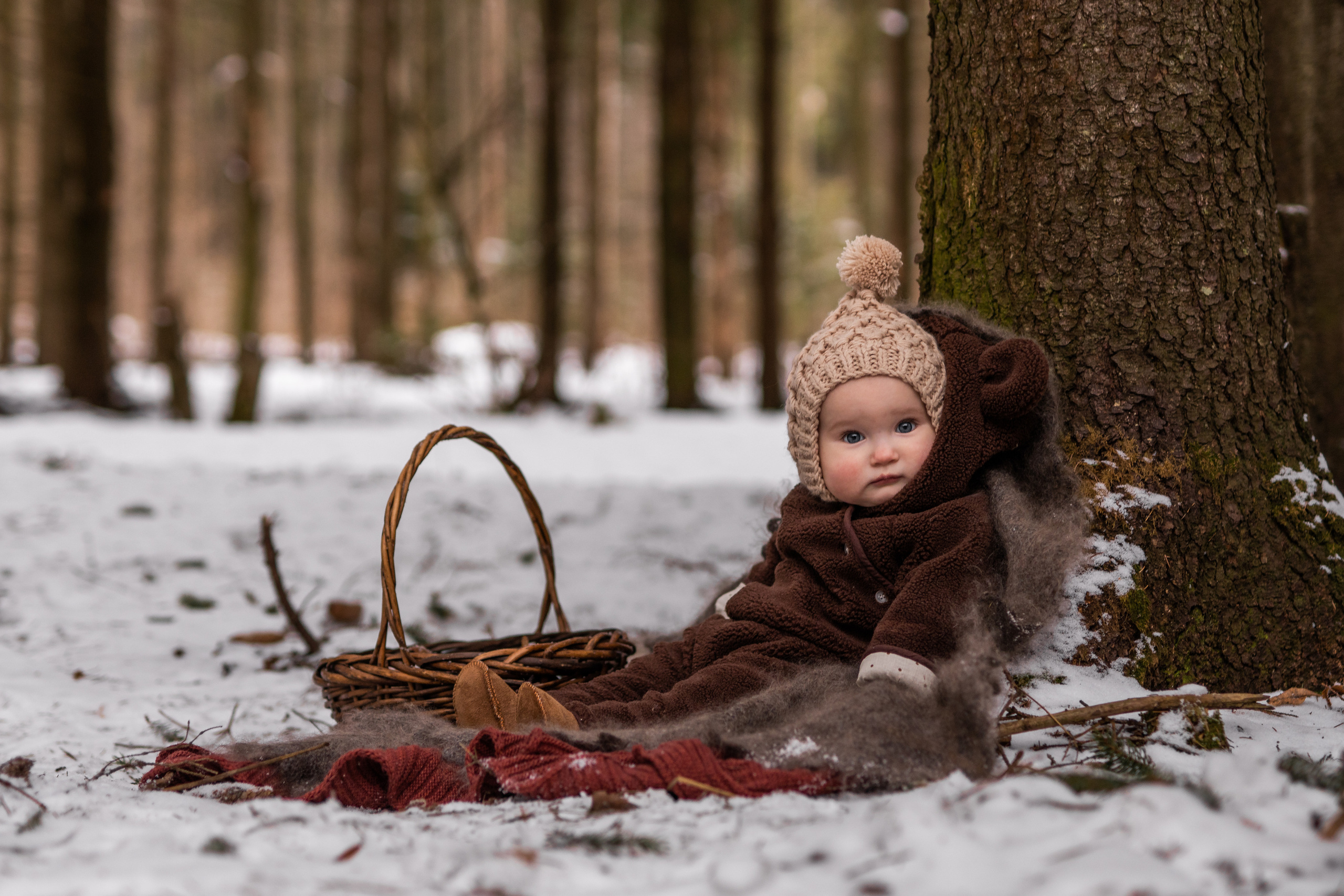 За шишками. Семейный фотограф Ефремова Виктория