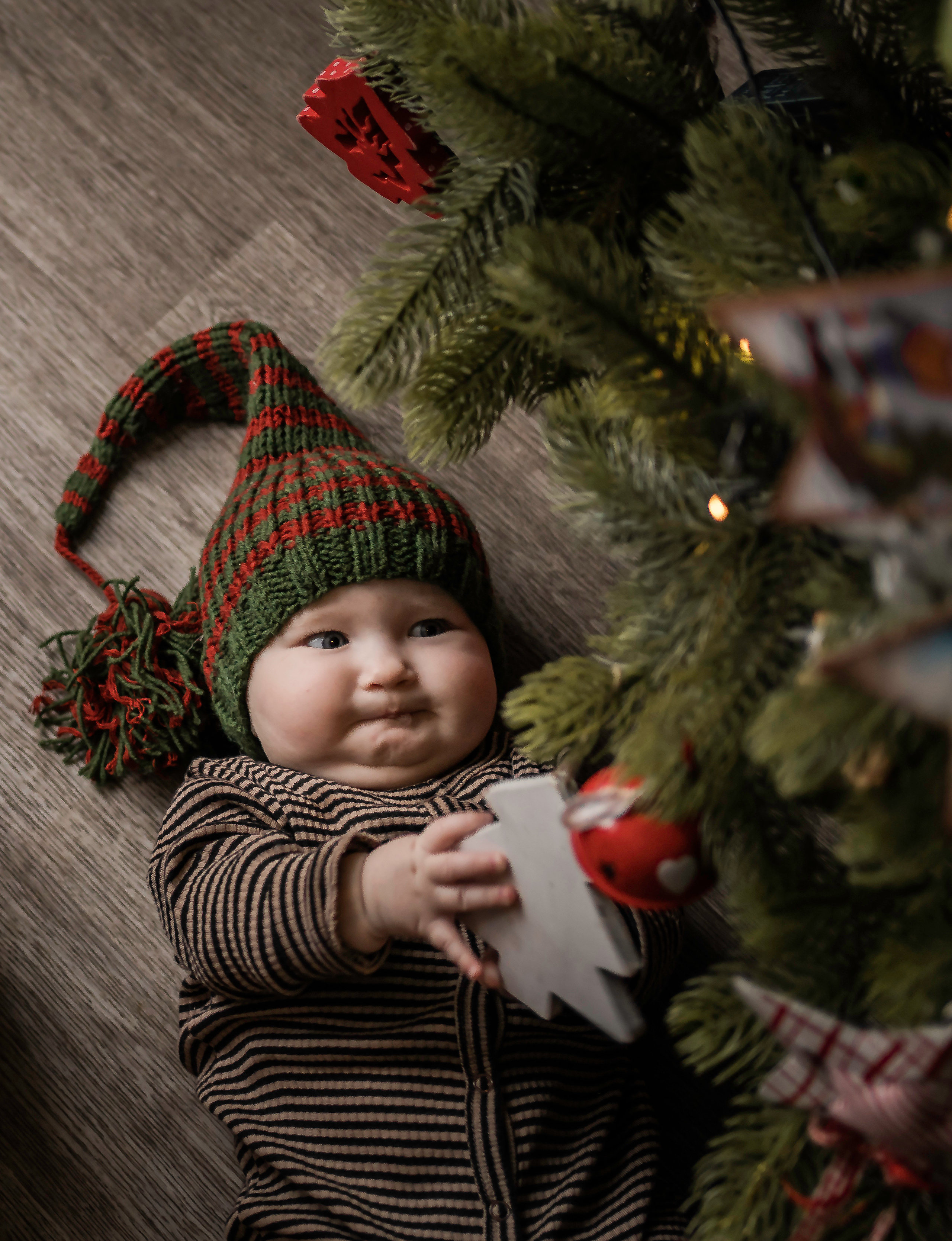 Новый Год. Савелий и Марфа. Семейный фотограф Ефремова Виктория