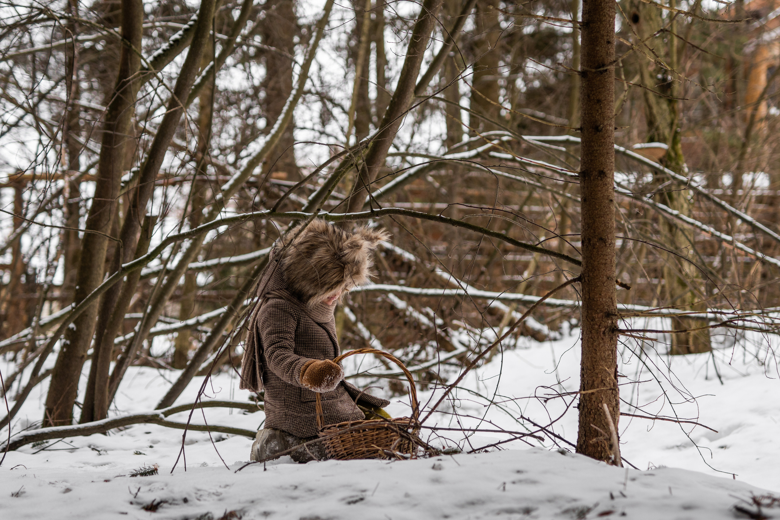 За шишками. Семейный фотограф Ефремова Виктория