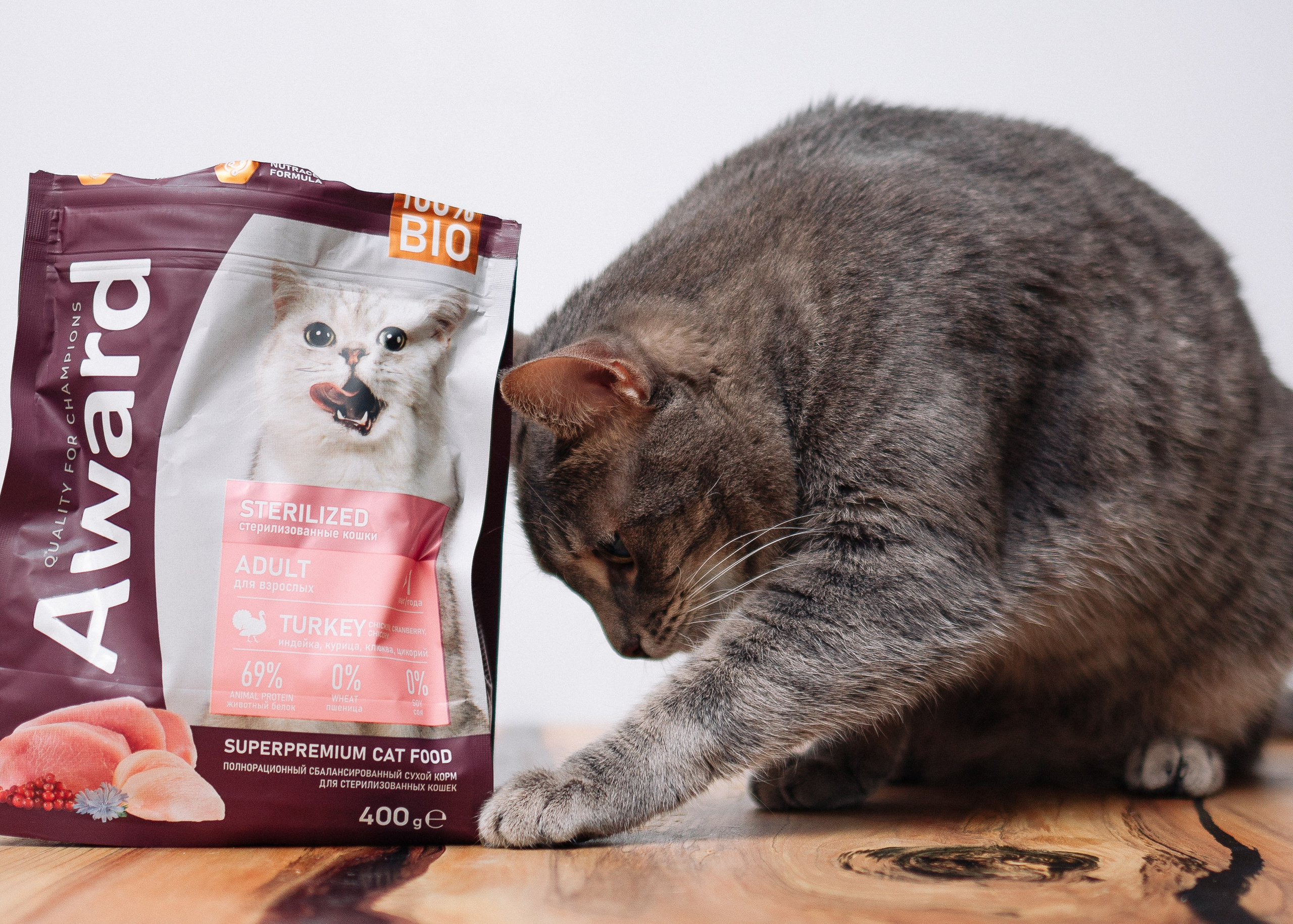 Благотворительная съемка животных. Предметный фотограф в Москве Дарья Радькович