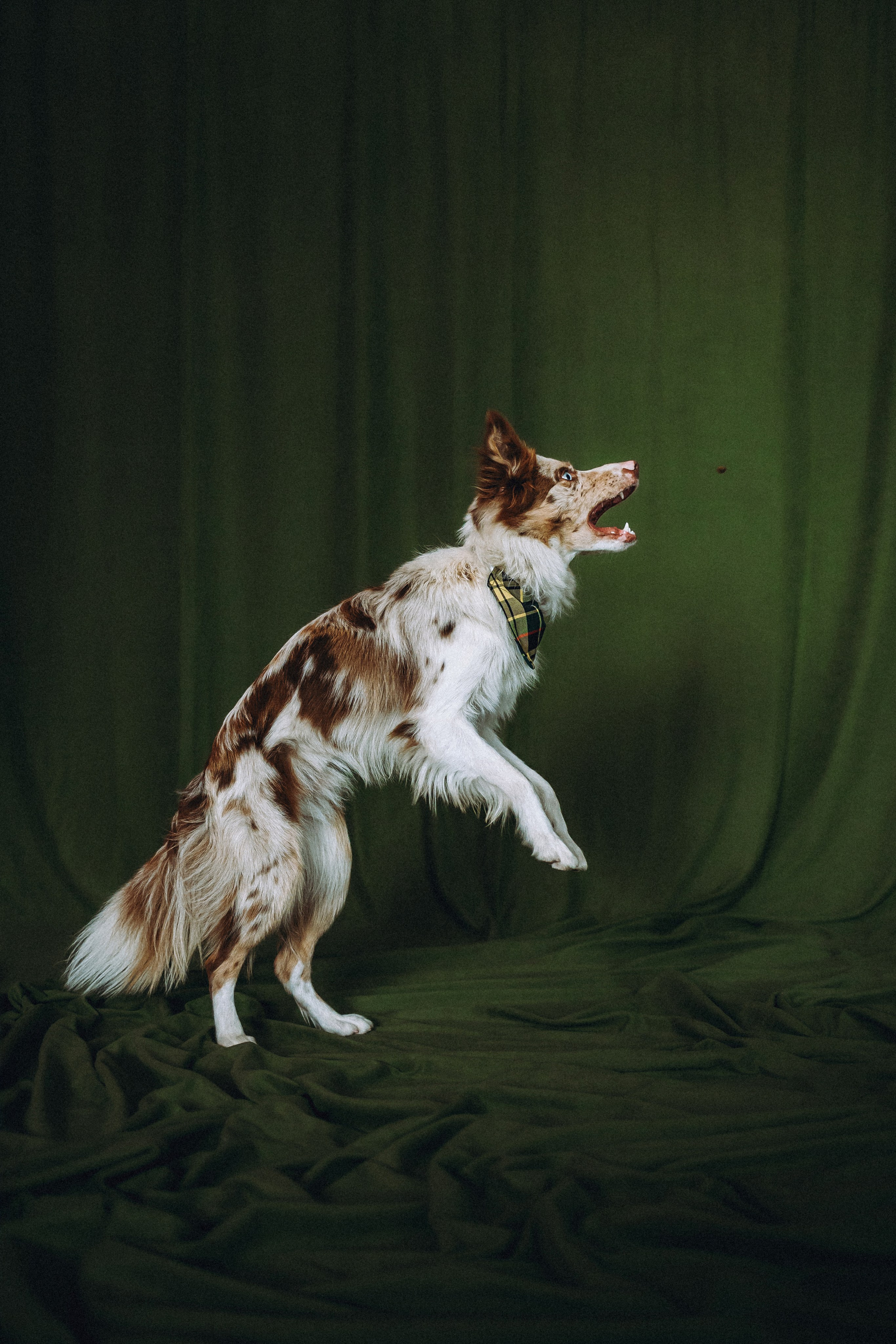 День рождения Айко